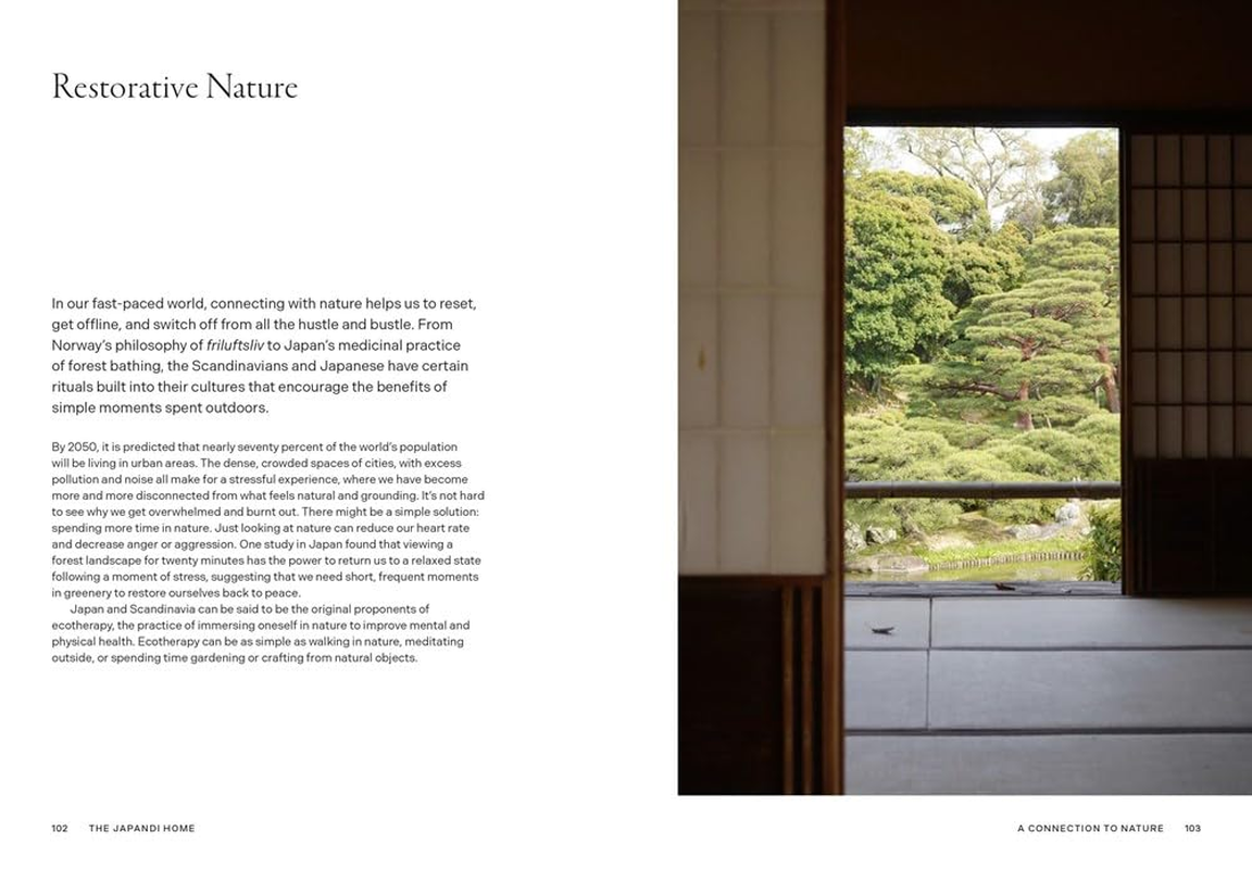 The Japandi Home: Nordic Minimalism Meets Japanese Zen image number 3