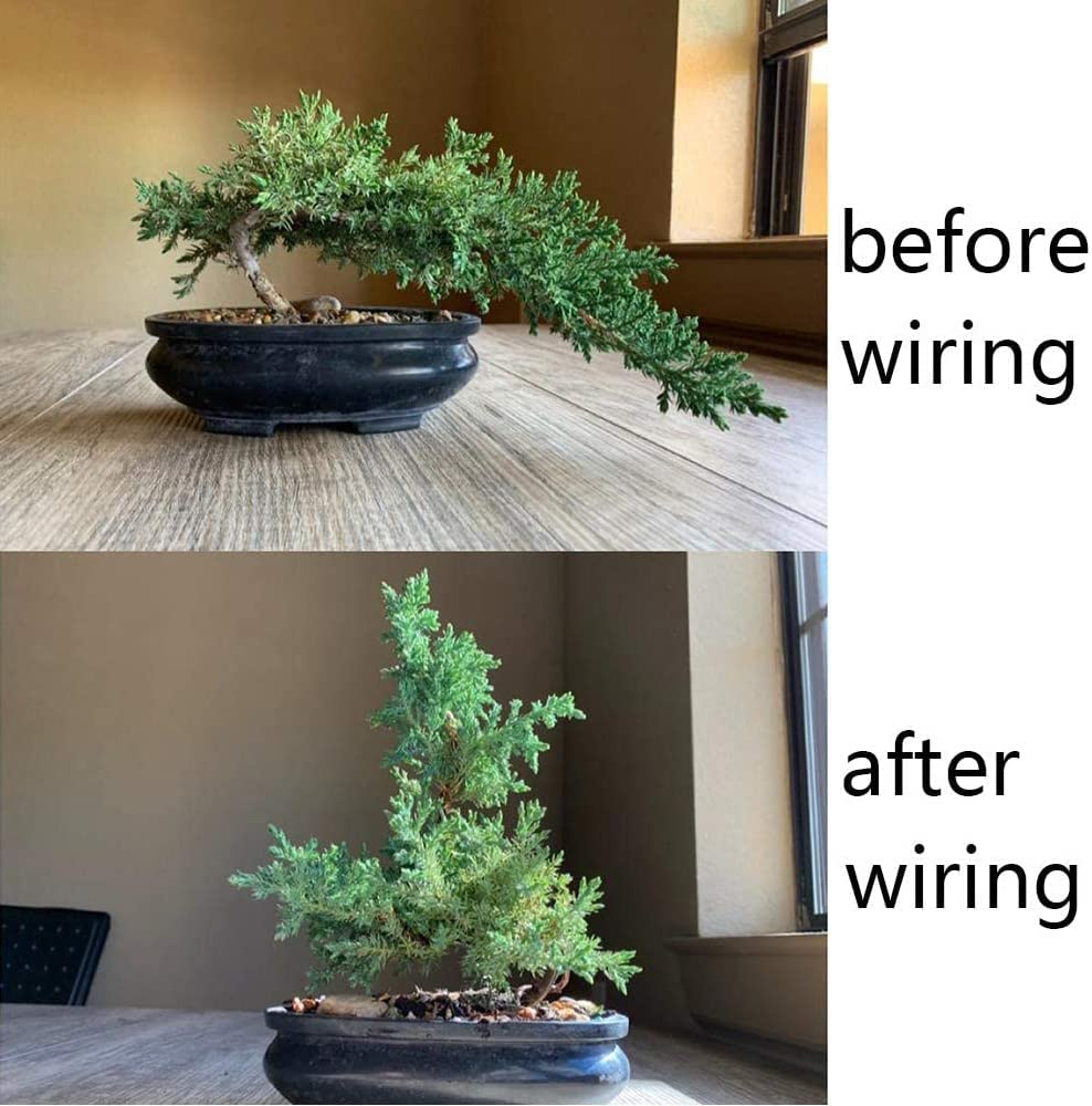 Bonsai Training Wire Aluminum Fastener Plants Styling Tree Pots Garden Yard Tool 1Mm *5M image number 6