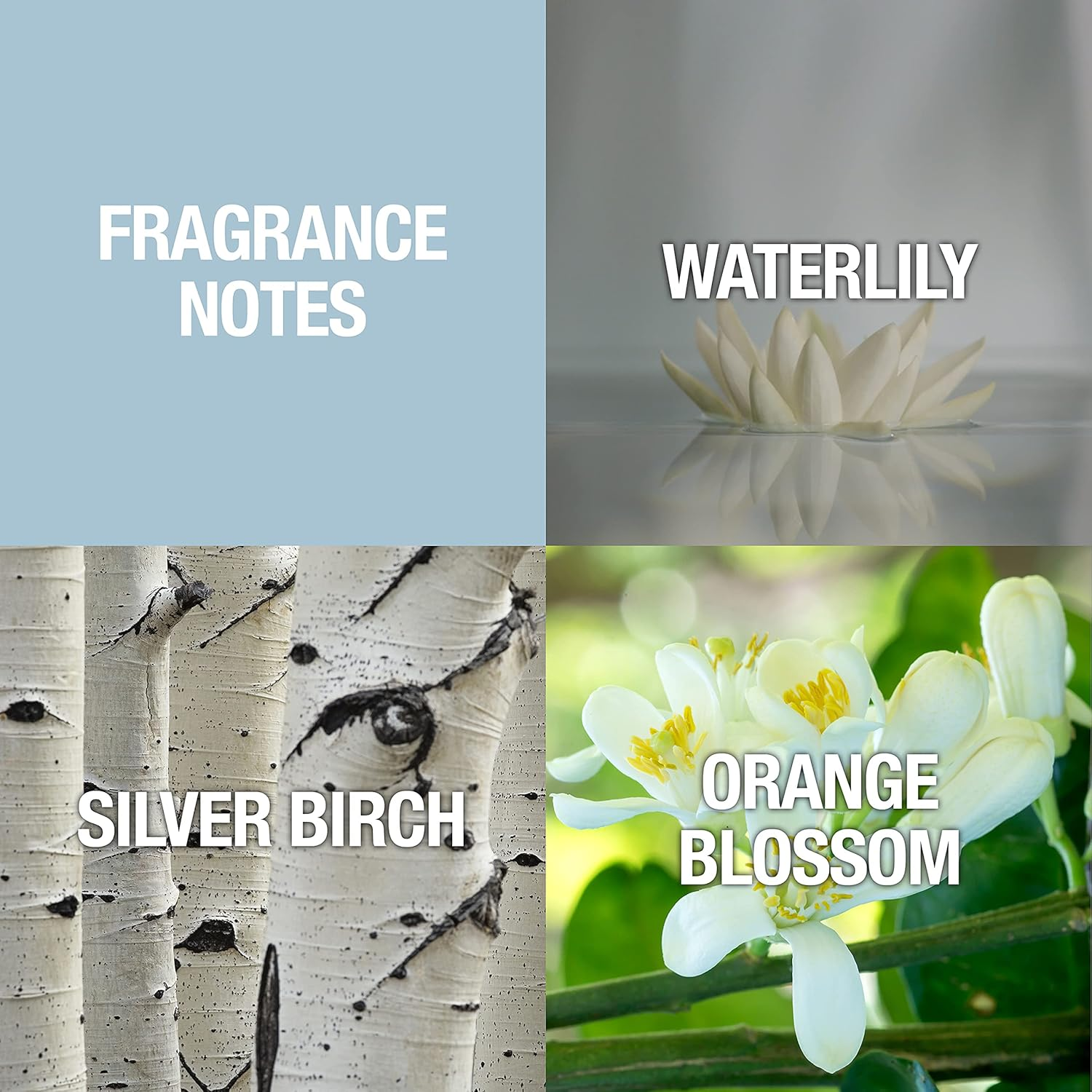 Elizabeth Taylor Alfred Sung Shi Eau De Parfum Spray, 30Ml image number 1