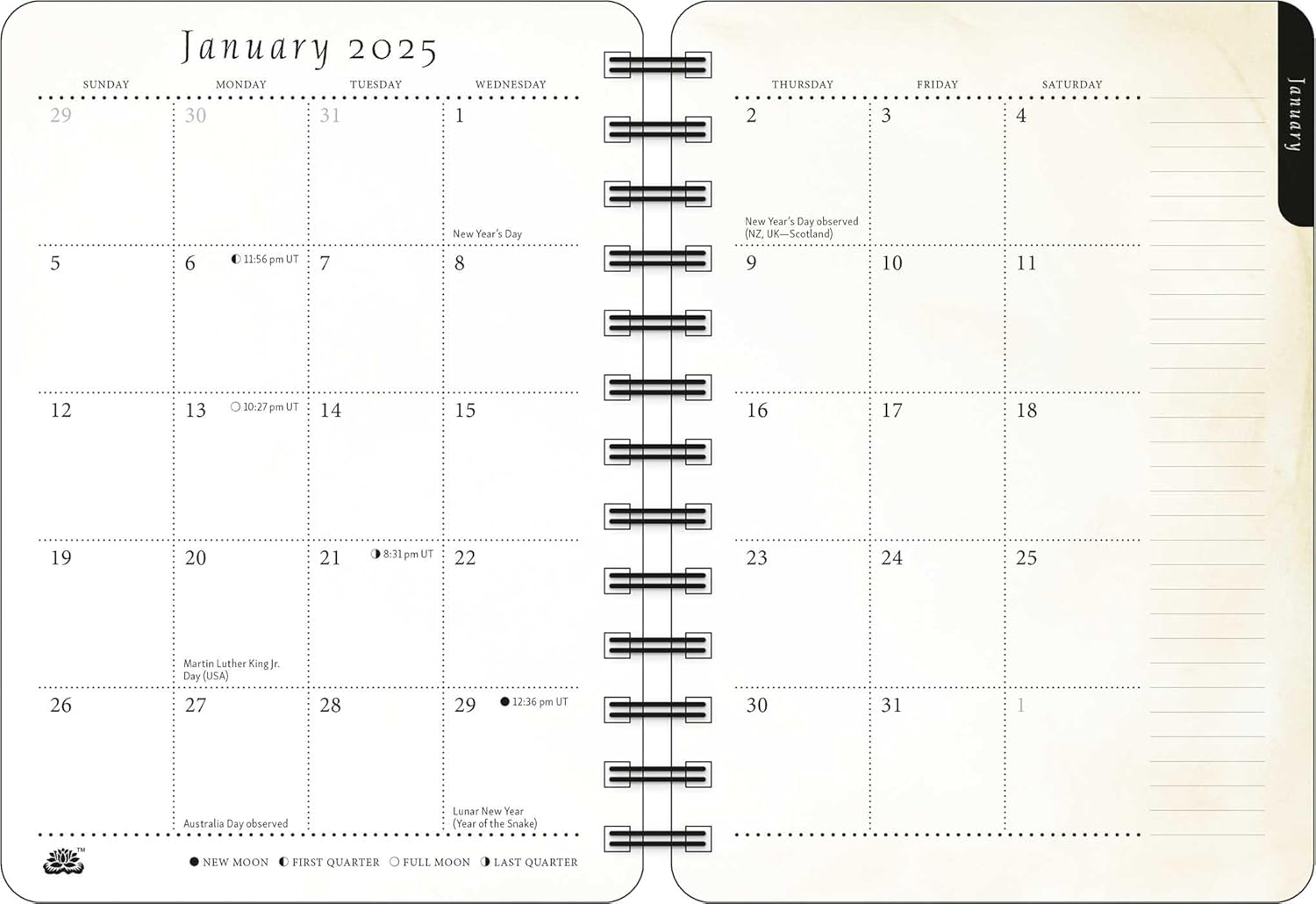 The Artful Cat 2025 Weekly Planner Calendar: Brush and Ink Watercolor Paintings by Endre Penov&agrave;c image number 1