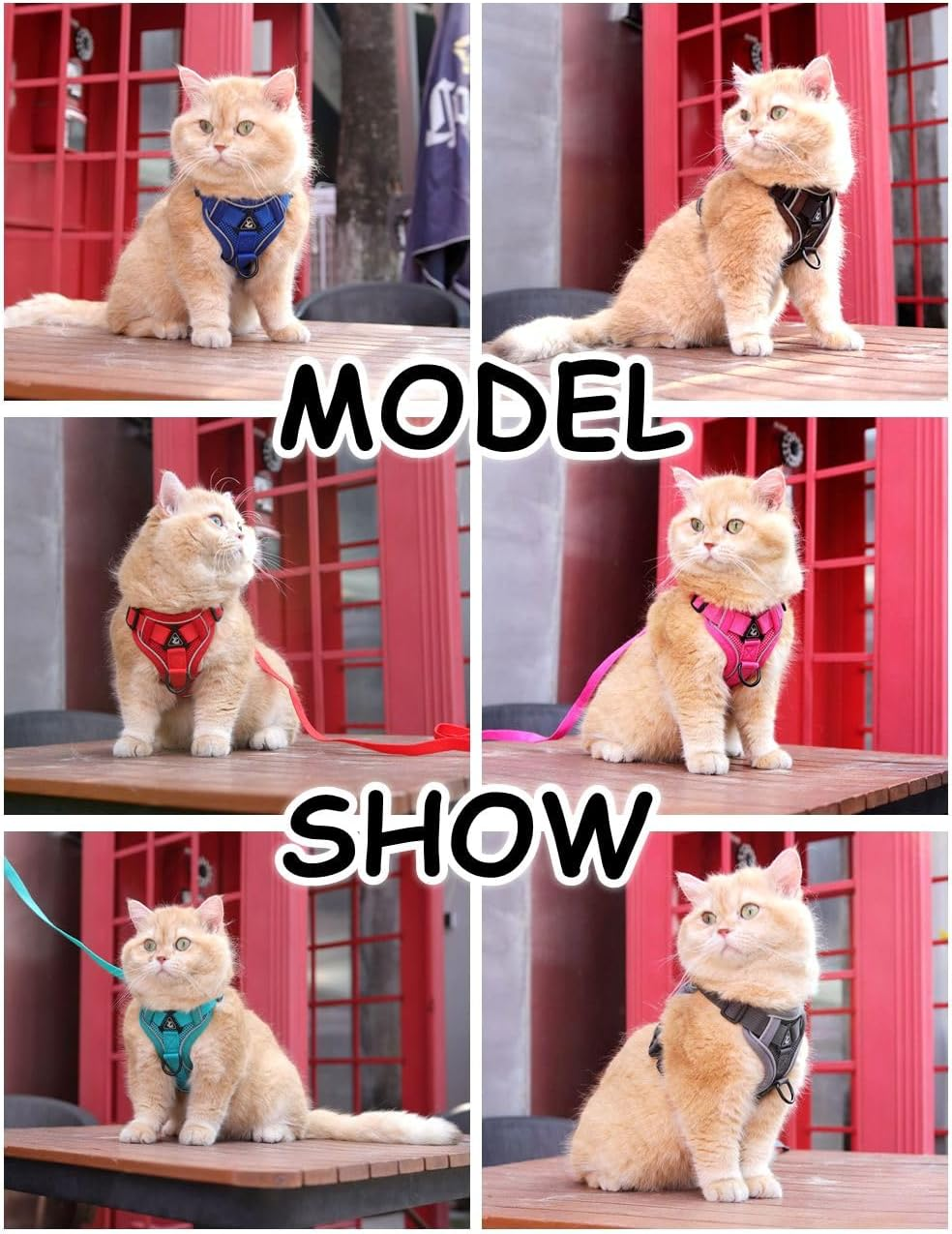 Vest Harness Leash Set for Small Dog Large Cat, Upgraded Escape Proof Adjustable Jacket with Lead for Puppy Fat Cat Outdoor Walking, Soft Breathable Mesh Coat with Reflective Strip XL Blue image number 2