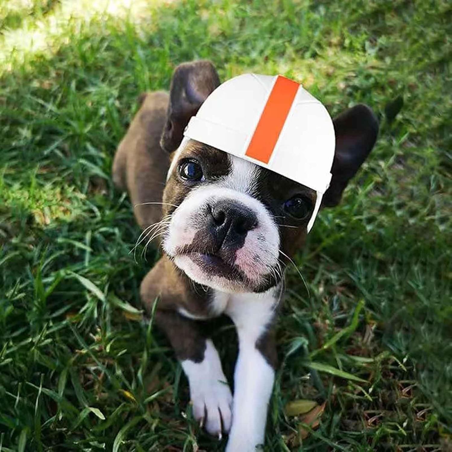 Dog Helmets for Small Dogs with Ear Holes Pet Hard Hat Cat Motorcycle/Bike Cap Adjustable Medium Dog Helmet for Outdoor Riding Hiking Cycling (White, S) image number 5