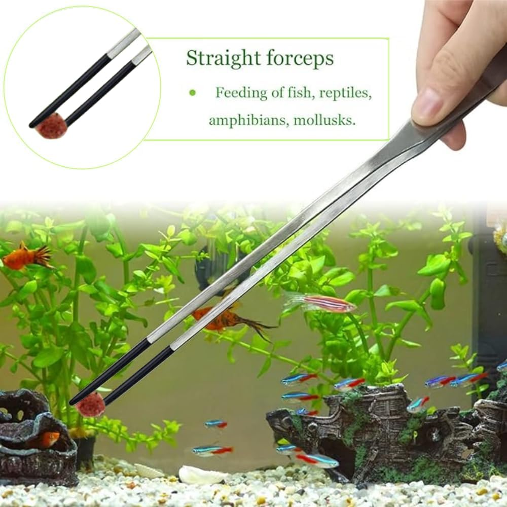 2 Pcs Reptile Feeding Tongs,Worms Tongs,27Cm/10.6" Straight and Curved Tweezers for Aquarium,Aquascape Tools, Stainless Steel Feeder Tools for Hold Bearded Dragon Lizards Reptiles image number 1
