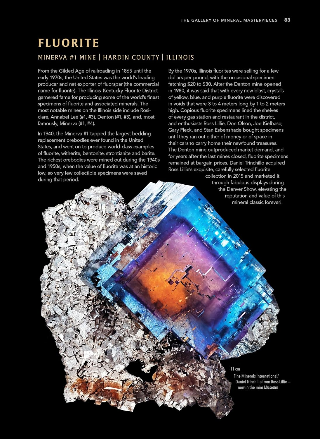 Ikons of the Mineral World: Nature'S Finest Art image number 6