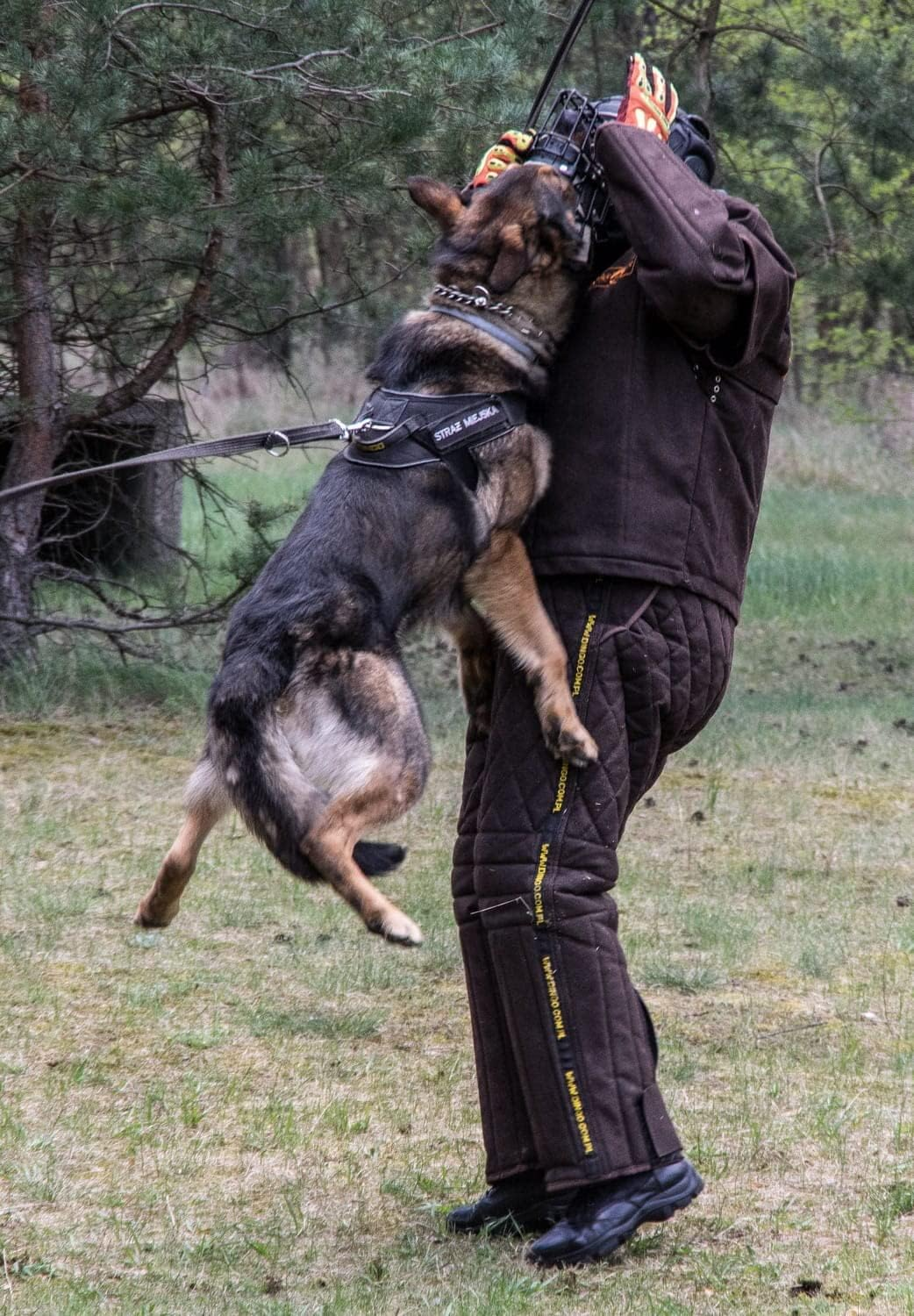 Dingo Gear Lightweight Decoy Helmet for Dog Bite Training Handmade Helper Head Protector with Steel Grill S02022 image number 3