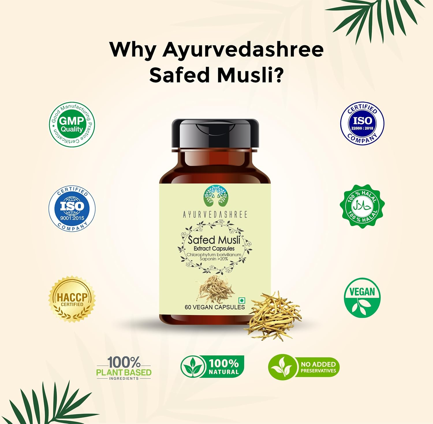Safed Musli Extract 500Mg - 60 Vegetarian Capsules | Chlorophytum Borivillianum | All Natural | 100% Vegan | Gluten-Free | GMP Certified. image number 2