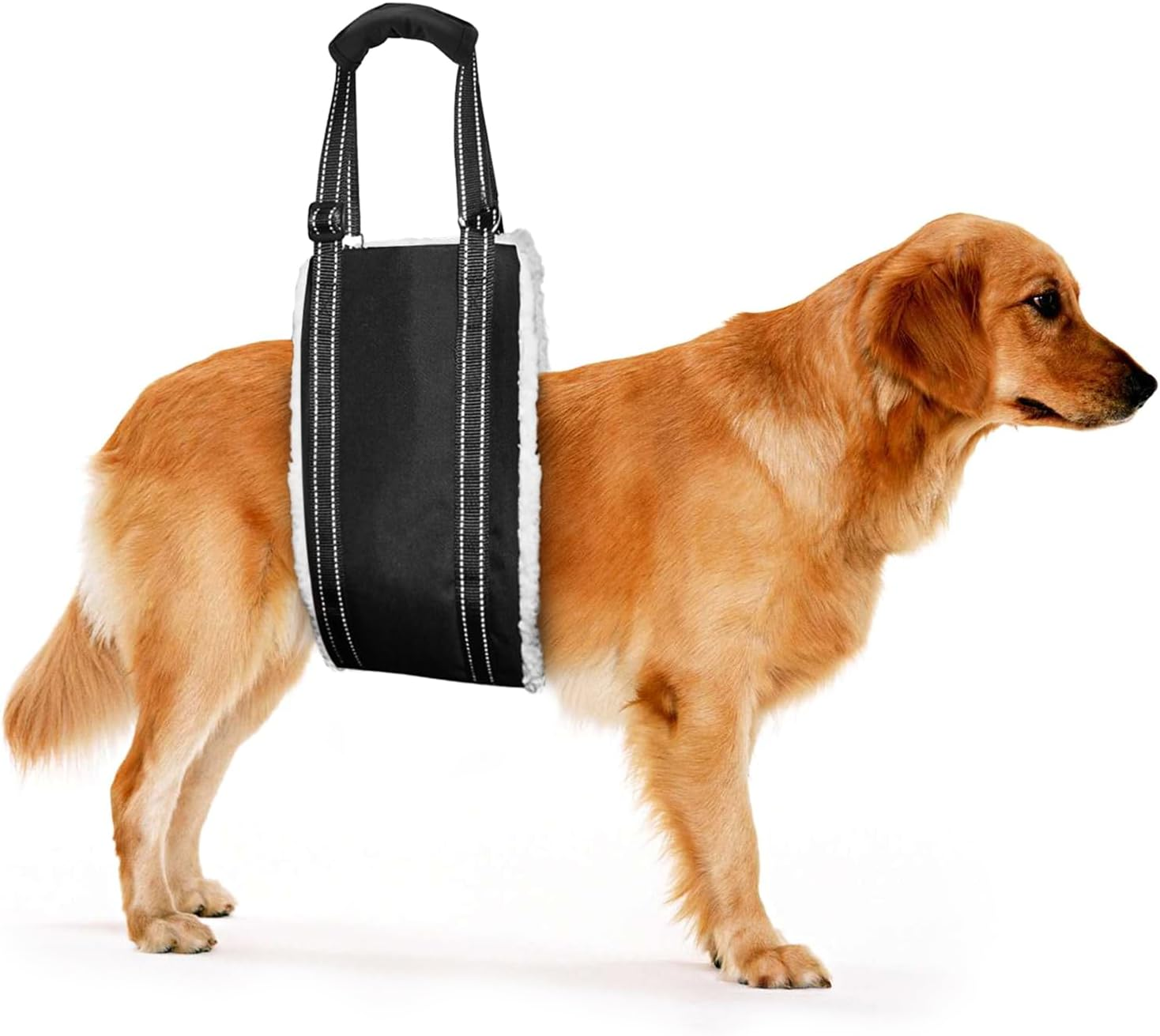 Dog Lift Support Harness Portable Sling for Support to Help Dogs Rear Rehabilitation and Disable Injured Elderly Pet - Helps Dog with Weak Front or Rear Legs Walk, Get into Cars, Climb Stairs - Medium image number 4