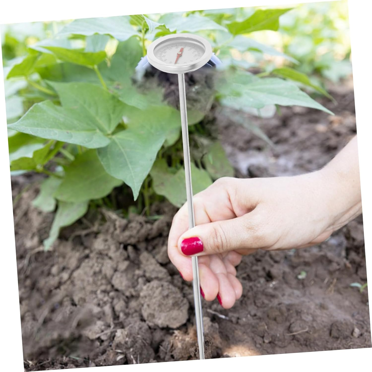 Portable Stainless Steel Soil Thermometer for Home Composting Probe Temperature Gauge for Accurate Lawn and Garden Soil Measurement image number 4