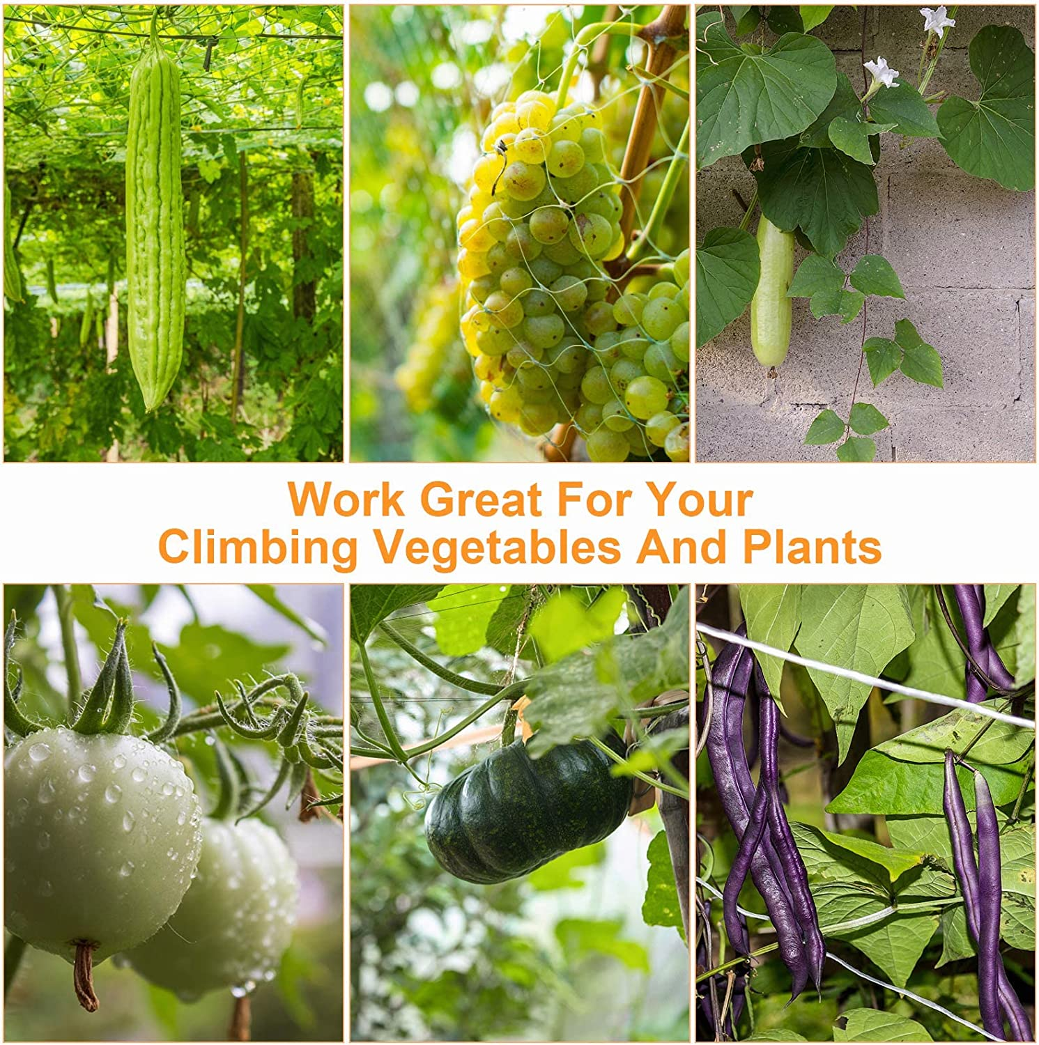 Lordap 5X30Ft Plant Trellis Netting, Heavy-Duty Polyester Grow Net, Garden Trellis Netting with Square Mesh for Climbing Plants, Vegetables, Fruits, and Flowers (5X30Ft) image number 2