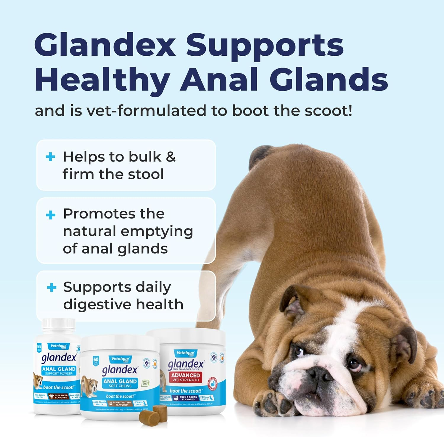 Vetnique Glandex Gland Soft Chew Treats with Pumpkin for Dogs Digestive Enzymes, Probiotics Fiber Supplement for Dogs Boot the Scoot (Advanced Strength Duck/Bacon Chews (Vegetarian), 60 Ct) image number 3