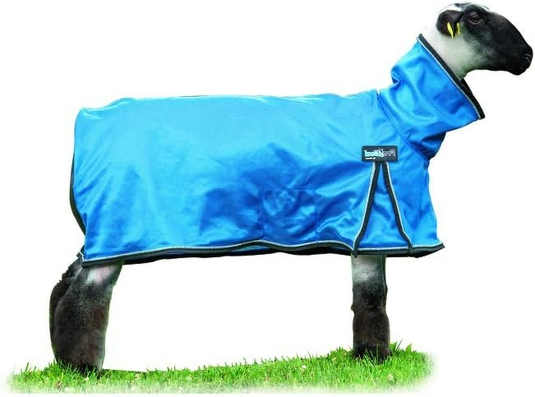 Weaver Leather 35-3521-B6 Procool Mesh Sheep Blanket, Small, Blue