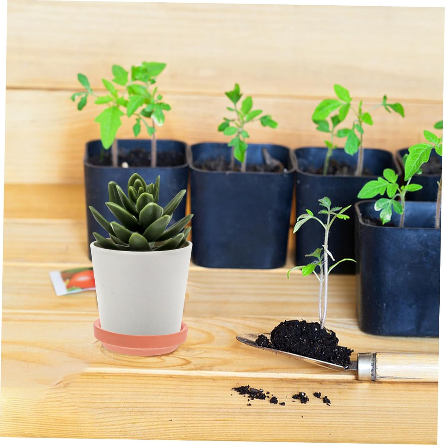 ORFOFE 6Pcs Pottery Plant Saucer Drip Tray for Potted Plants Water Catcher for Indoor and Outdoor Gardening Versatile and Stylish Flower Pot Base image number 6