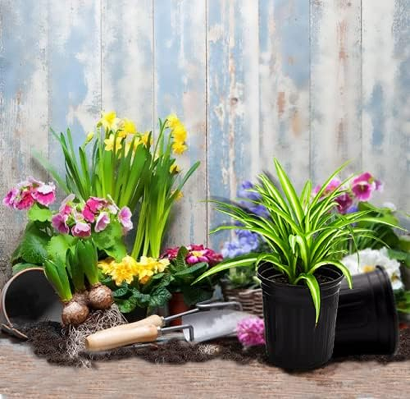 HECTOLIFE 50-Pack 1 Gallon Flexible Flower Plant Nursery Pots, Thickened Soft Plastic Seed Starting Container for Succulents, Seedlings, Cuttings, Transplanting,(Black) image number 6