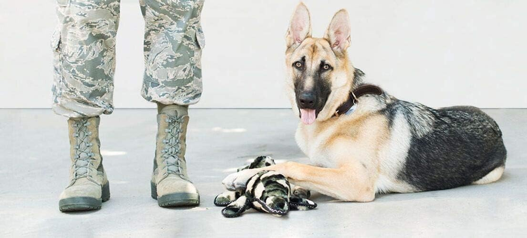 Zippy Paws Plush Dog Squeaker Toy, image number 1