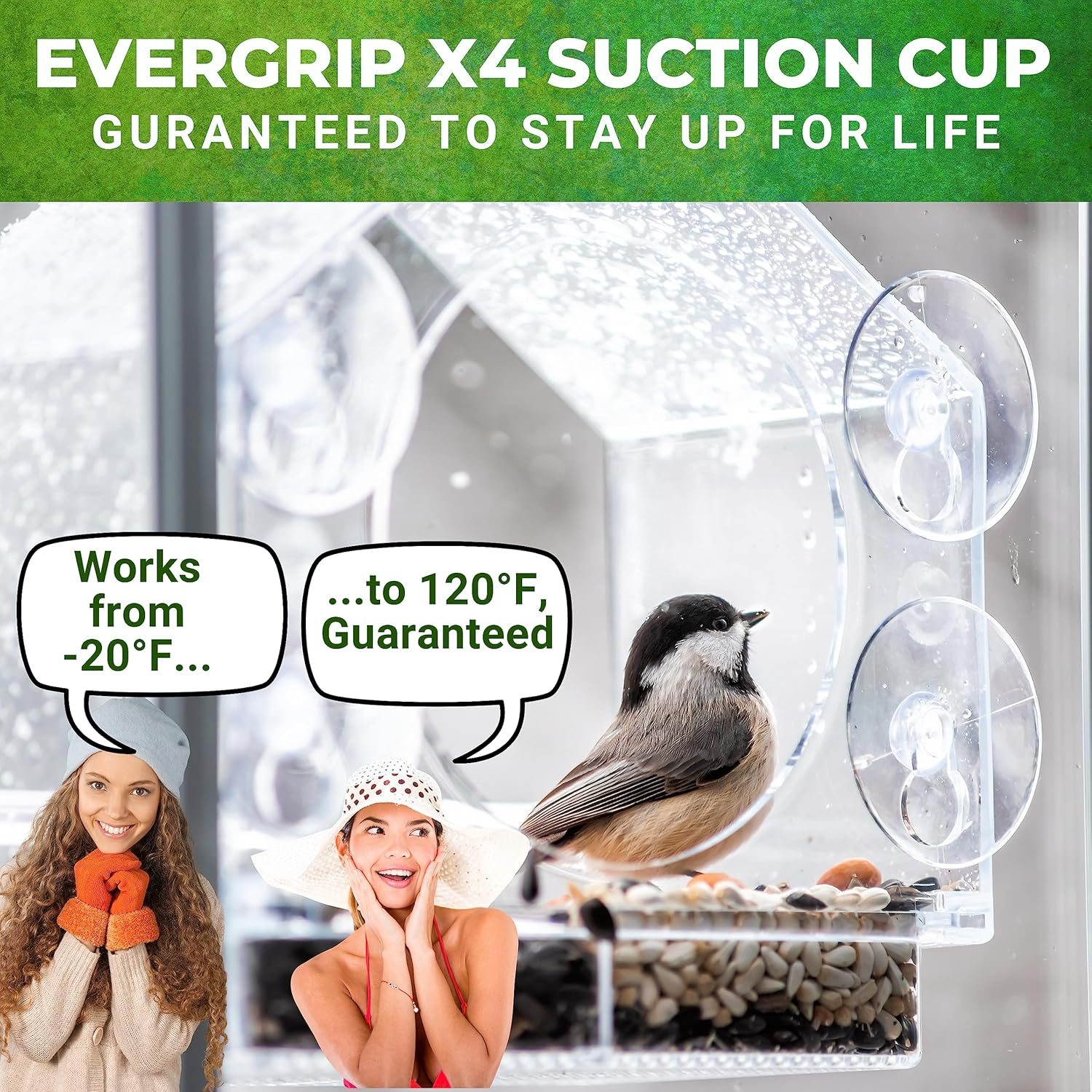 Nature Anywhere Transparent Acrylic Window Bird Feeders for Outdoors - Enhanced Suction Grip, Bird Watching for Cats, Easy-To-Clean, Outdoor Birdhouse Feeder image number 6