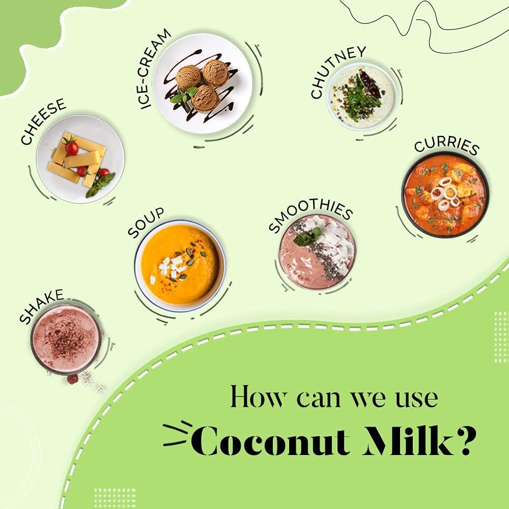 HYE Vegan Coconut Milk Powder | 500G image number 3