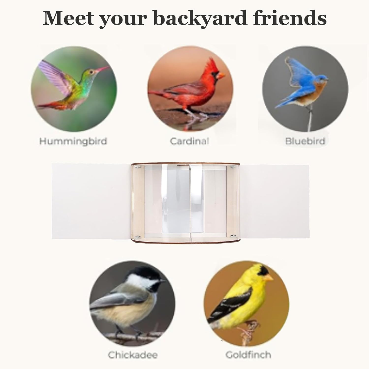 Gugxiom Window Bird Feeder with 180&deg; Clear View, Window Insert Bird Feeder with Adjustable Inlet Size, Clear Bird Feeders for Window Viewing image number 5