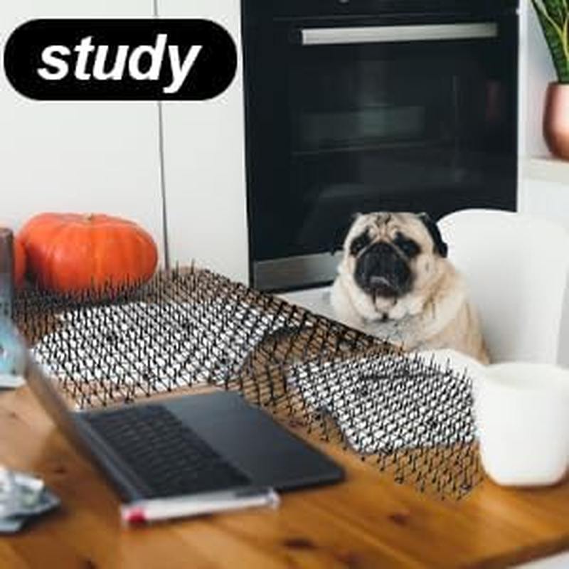 6.6 FT Cat Scat Mat with Spikes Black Cat Deterrent Mats Plastic Scat Mat for Cats Include 8 Staples image number 4