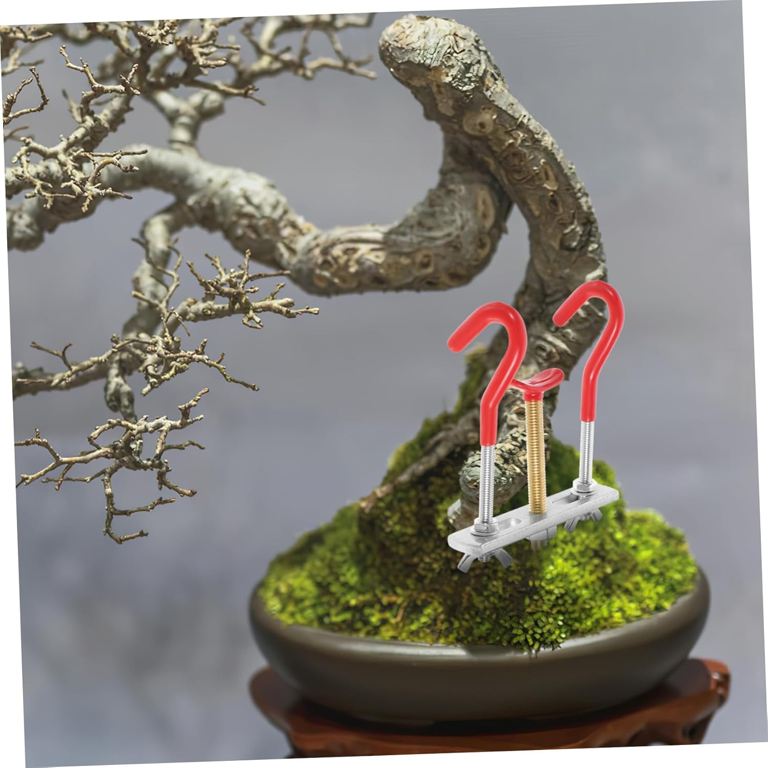 BESPORTBLE Bonsai Branch Bender and Tree Branch Bending Tool for Outdoor Garden Bonsai Styling, Small Size Adjustable Tree Trunk Adjuster for DIY Plant Shaping image number 2