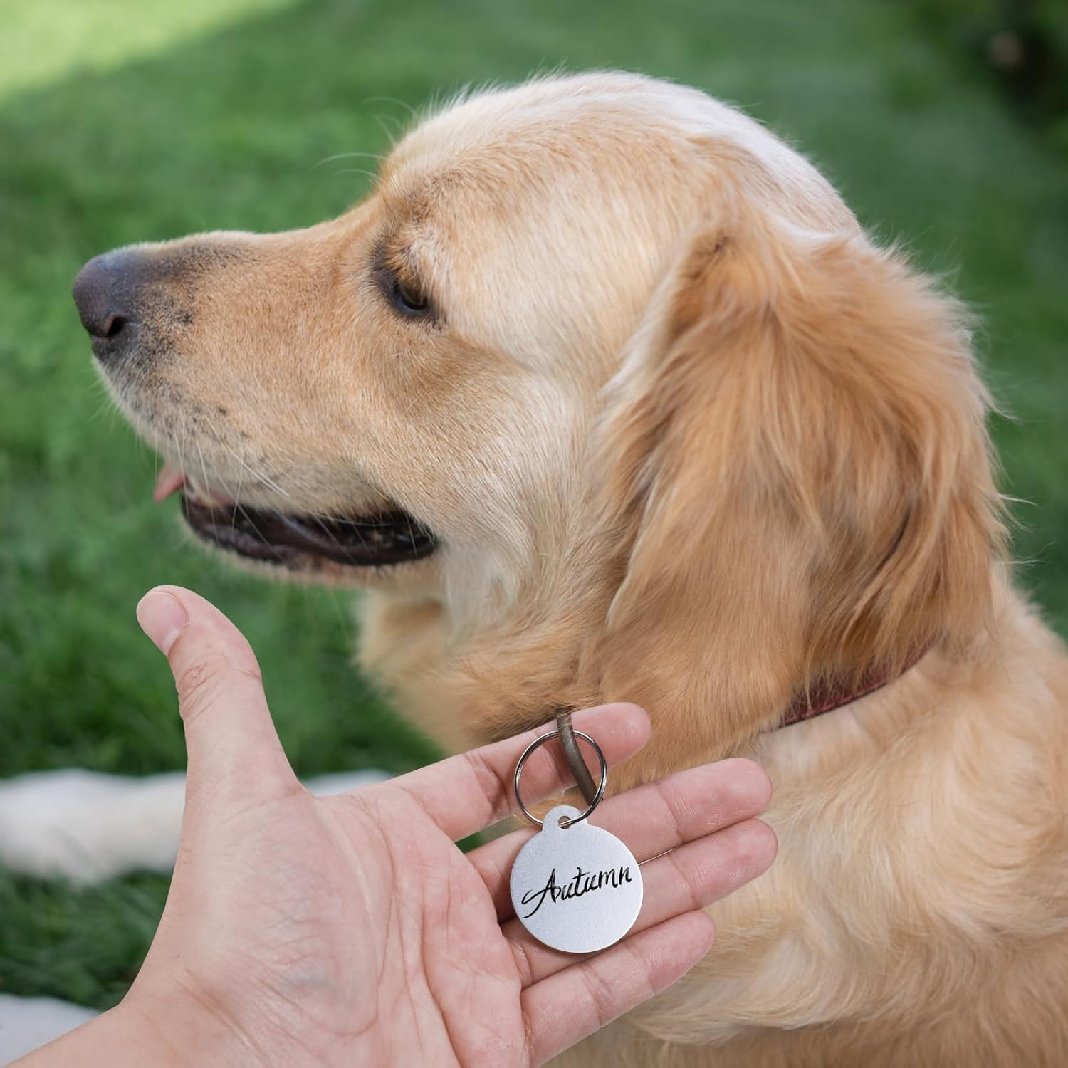 Beiqilian 25Pcs Blank Dog Tags for Engraving, 3.1Cm/1.2In Dog Name Tags Cat Pet ID Personalized, round Metal Stamping Blanks Aluminum Metal Tags with Key Ring Keychain image number 1