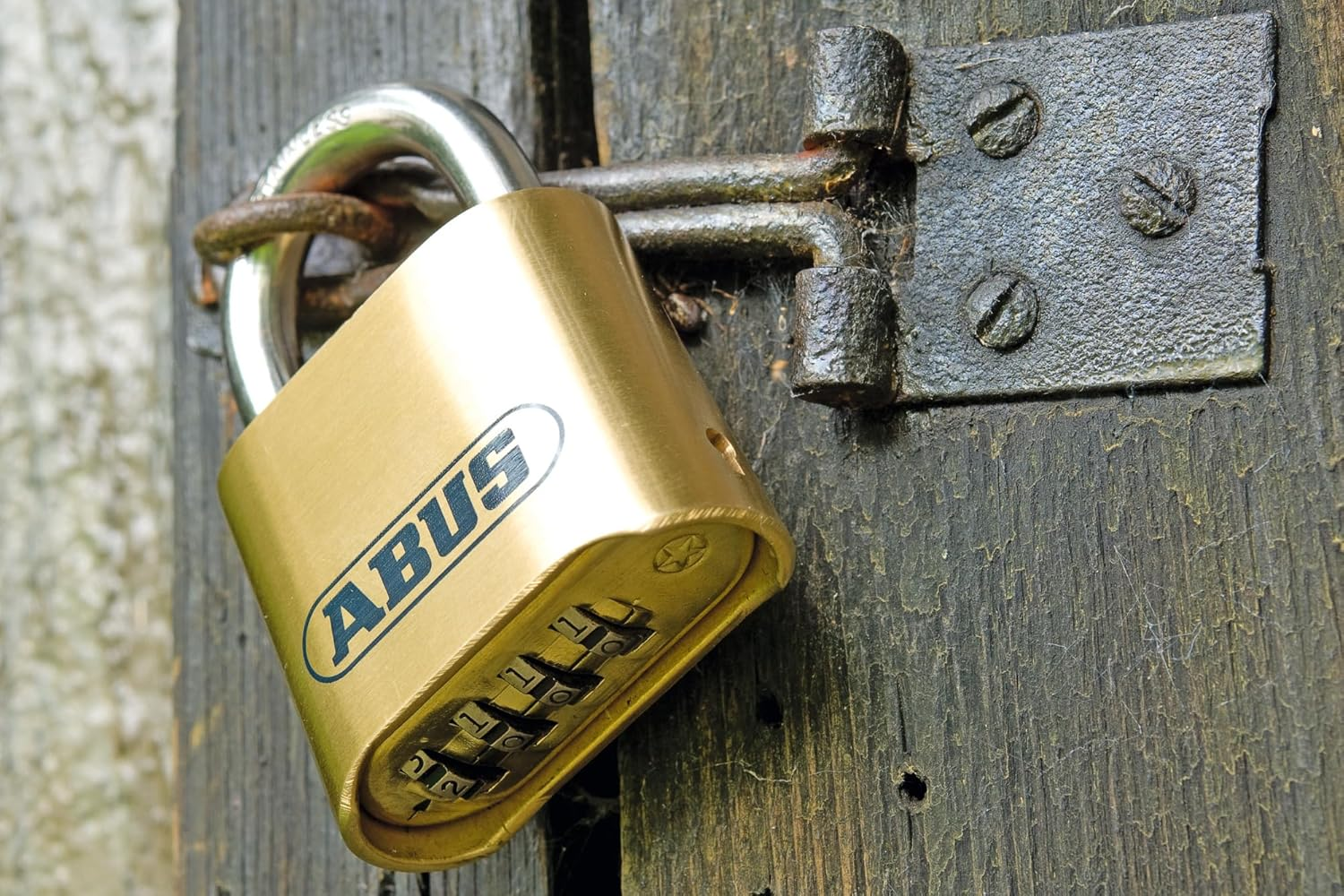 ABUS Combination Lock 180IB/50 - Brass Padlock - Weatherproof - with Individually Adjustable Number Code - ABUS Security Level 5 - Brass Colours