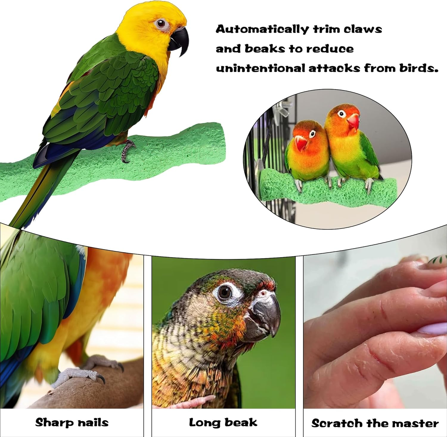 3 Pcs Bird Perches,Colorful Rough Birdcage Parrot Scrub Stand Bar Paw Scrub Perch Platform Grinding Stick Stand Bird Cage Accessories for Birds Parrot Budgies Parakeet Cockatiels Conure Lovebird image number 5