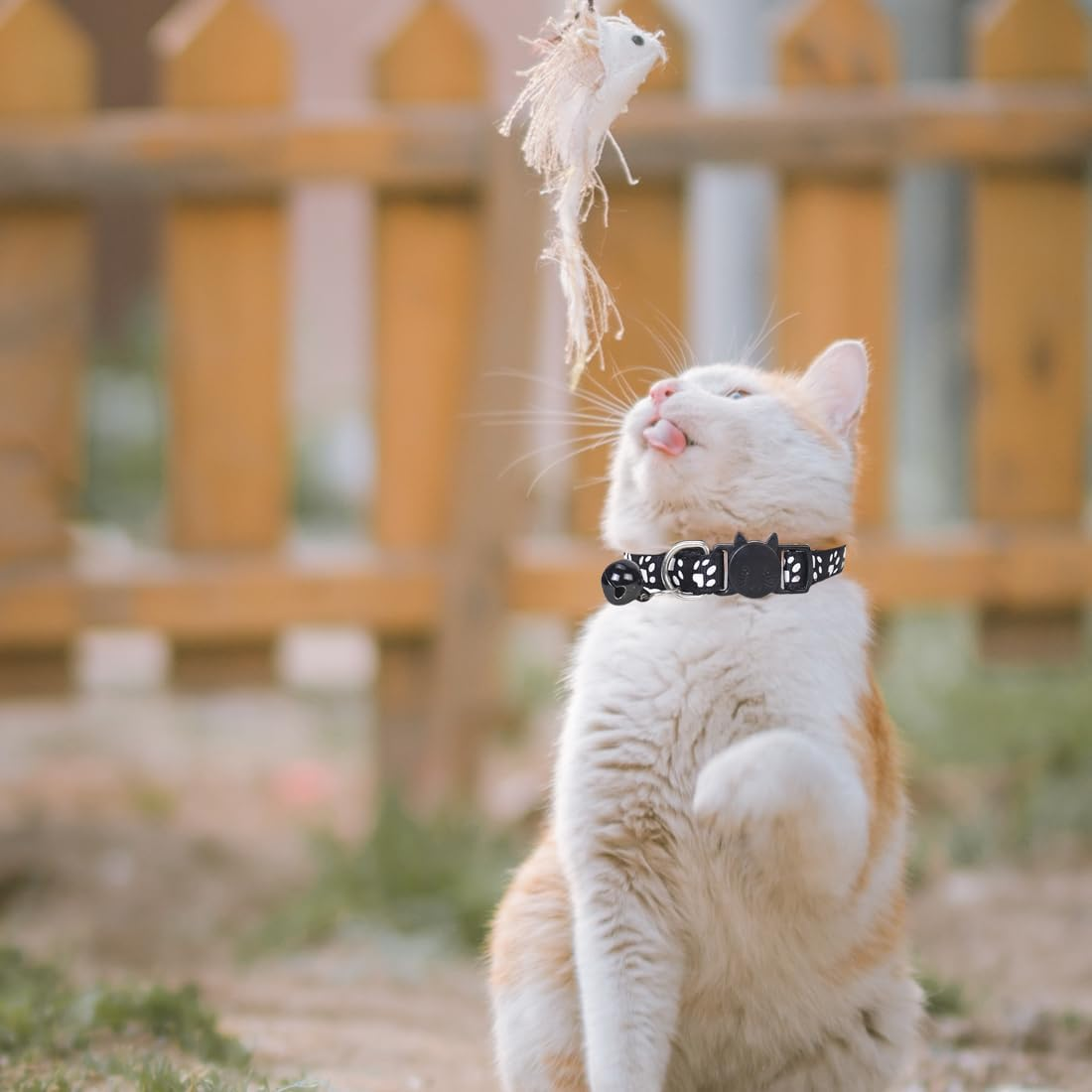 Weddhuis Pack of 2 Cat Collars with Safety Clasp and Bell, Adjustable Collar Cat Kitten image number 5