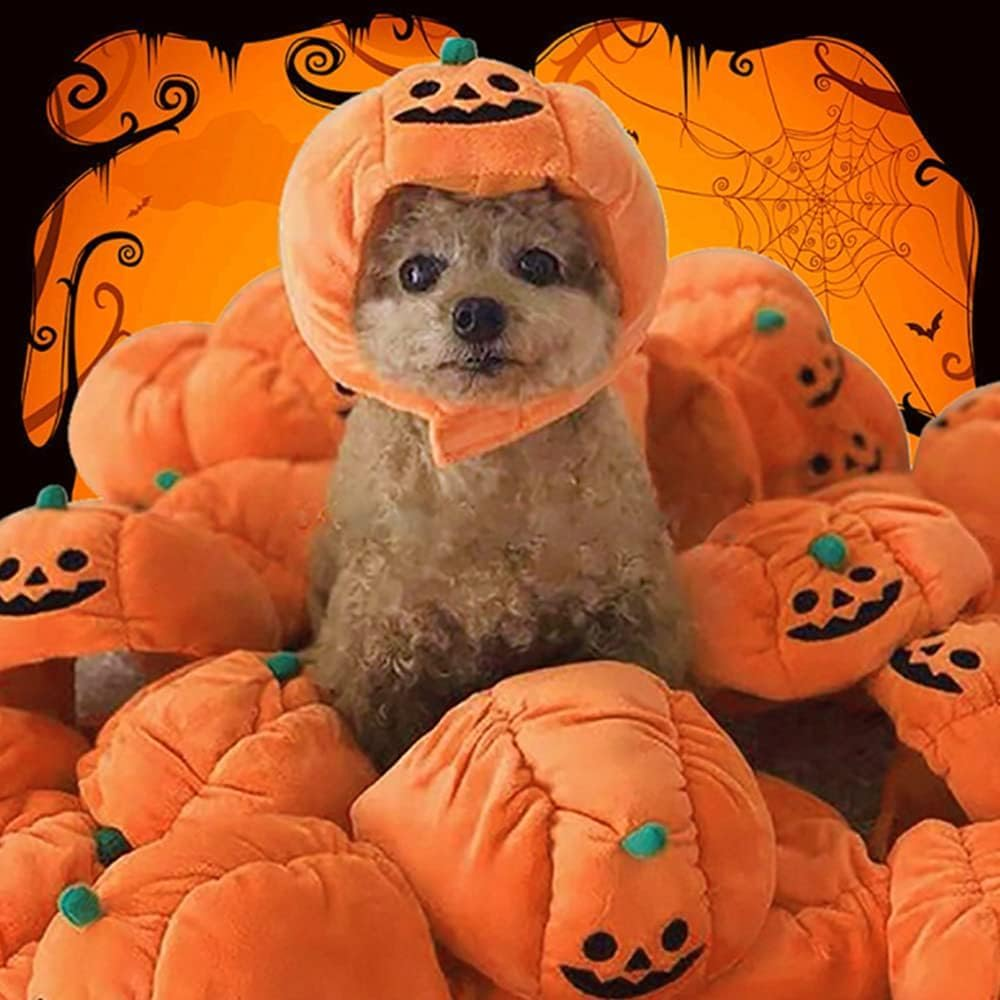 Dog Halloween Hat Kitten Pumpkin Cap Puppy Party Cosplay Dress Cat Pumpkin Costume Funny Pet Headgear Festival Head Accessory for Cat and Small Dogs (Orange, L) image number 6