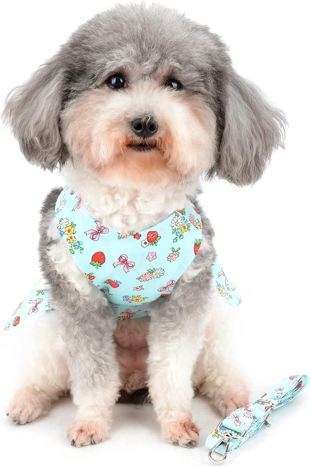 Zunea Small Dog Harness Dress with Leash Set No Pull Puppy Girls Vest Harnesses with Angel Wing Cute Princess Dresses with D Ring Flowers Strawberry Printed Pet Cat Chihuahua Clothes Blue M image number 2