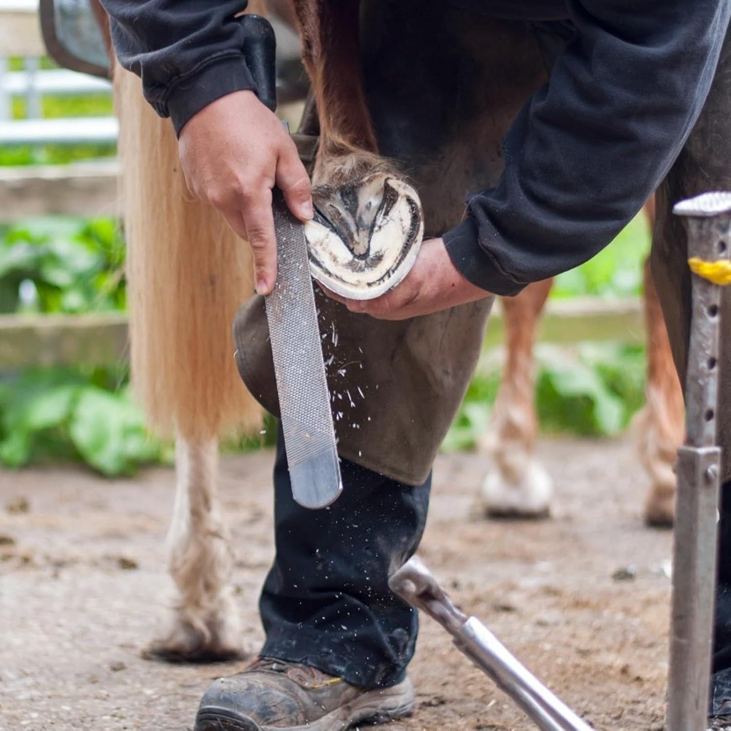 EVTSCAN Horse Hoof Trimming File Knife, Professional High Carbon Steel, Rasp Double Sided Farrier Tool image number 6