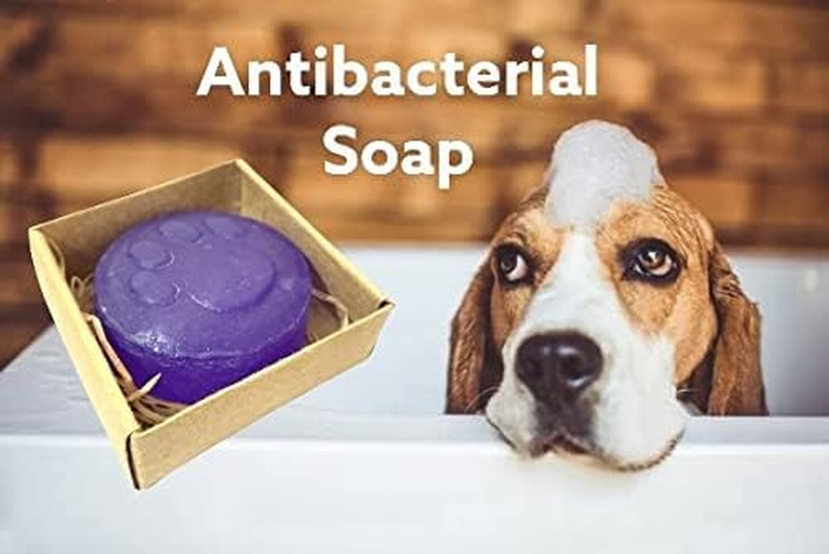 Oh My Dog Fur Brightening Antibacterial Organic Dog Soap by Pet Needs- with the Goodness of Lavender with Cedar Wood Oil (Pack of 2) image number 1