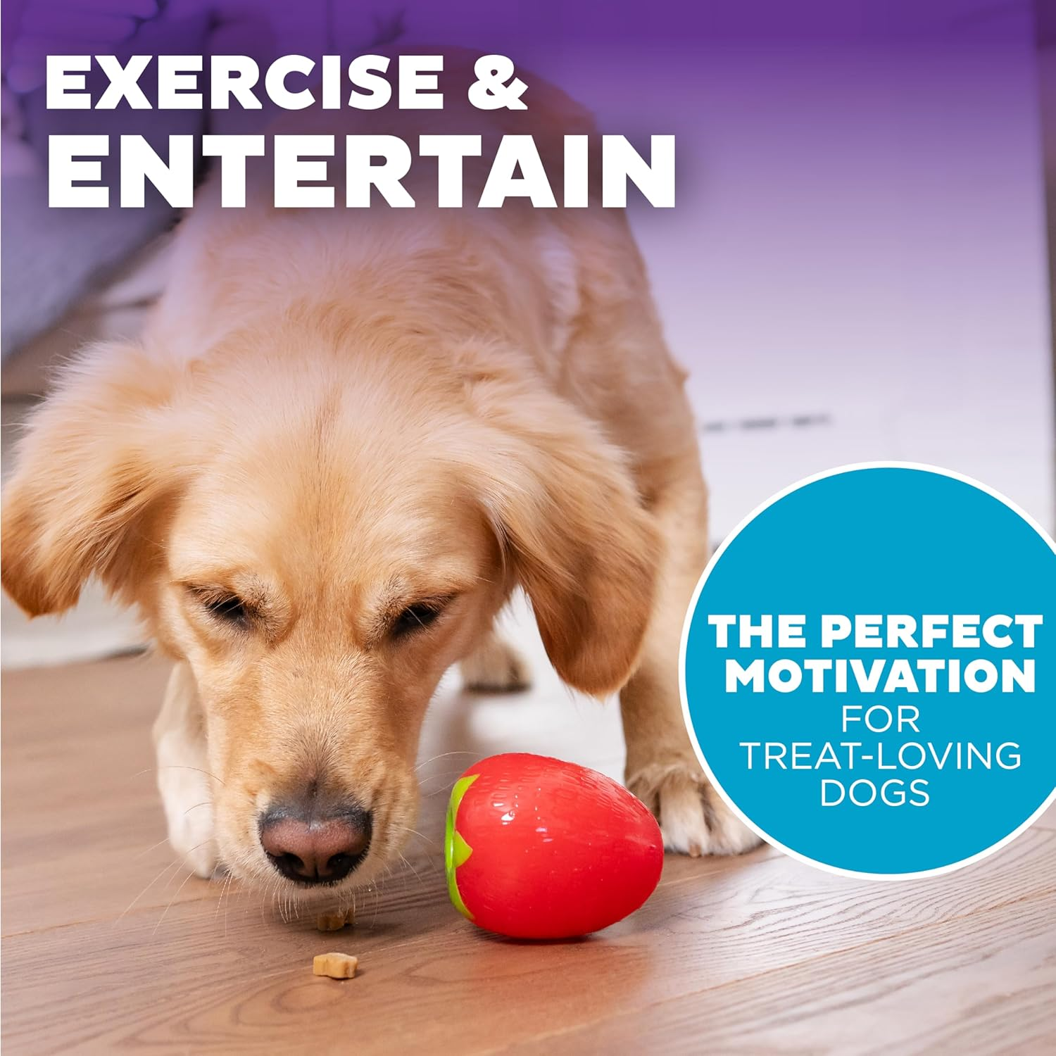 Planet Dog - Orbee-Tuff Strawberry - Foodies Chew Toy with Treat Spot for Retrieving and Training image number 1