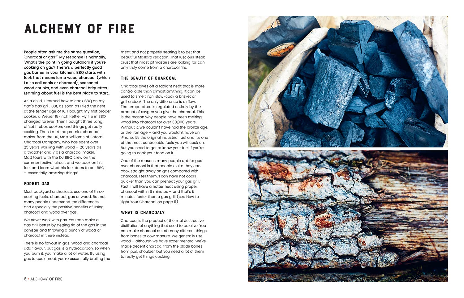 Fire Food: the Ultimate BBQ Cookbook image number 5