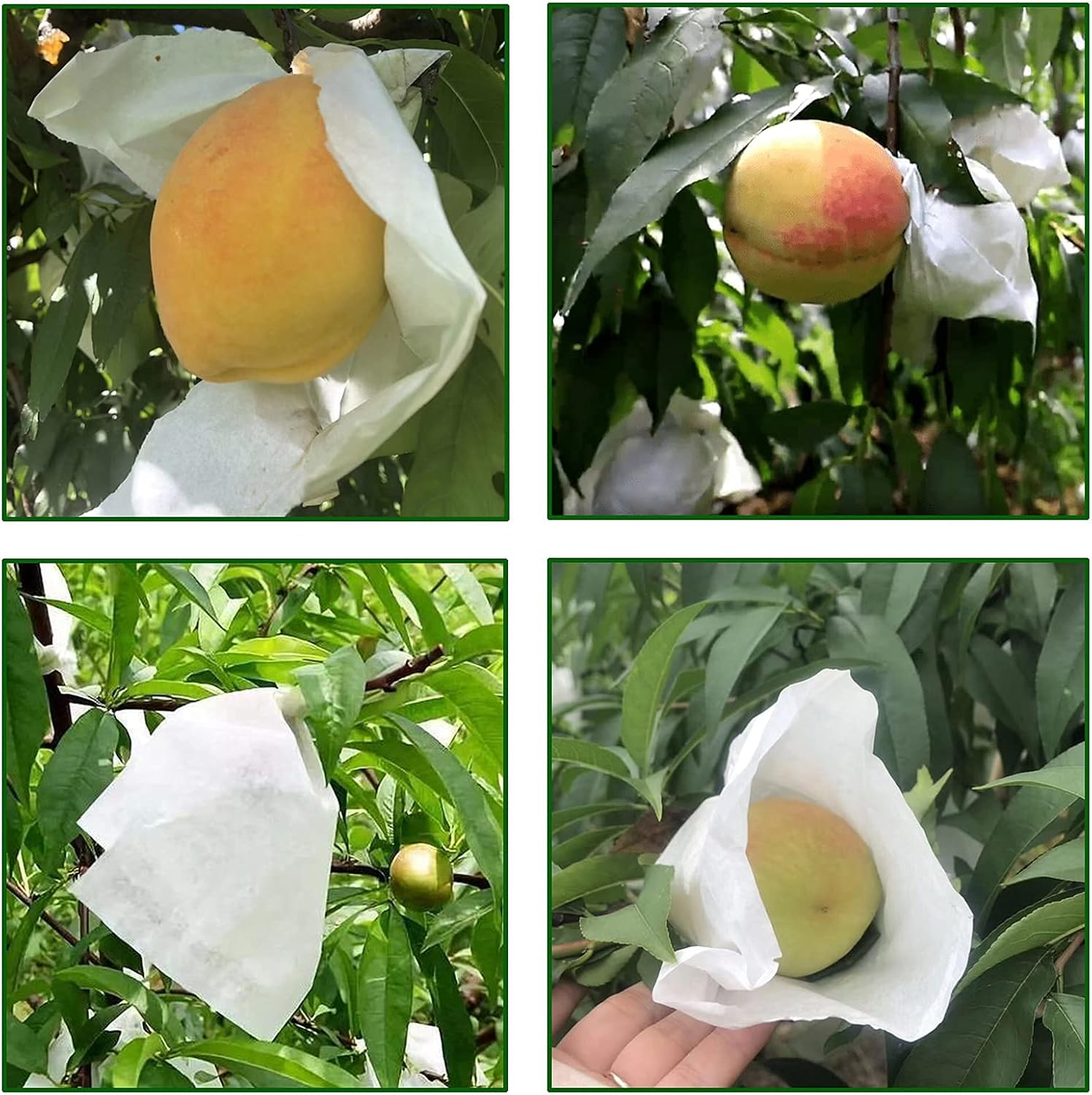 Houwana Fruit Protection Paper Bags 100Pcs White Protection Cover Bags 6.2X7.7Inch, Fruit Bags for Fruit Trees, Orchard, Trees, Frost, Plants (16X20) image number 2