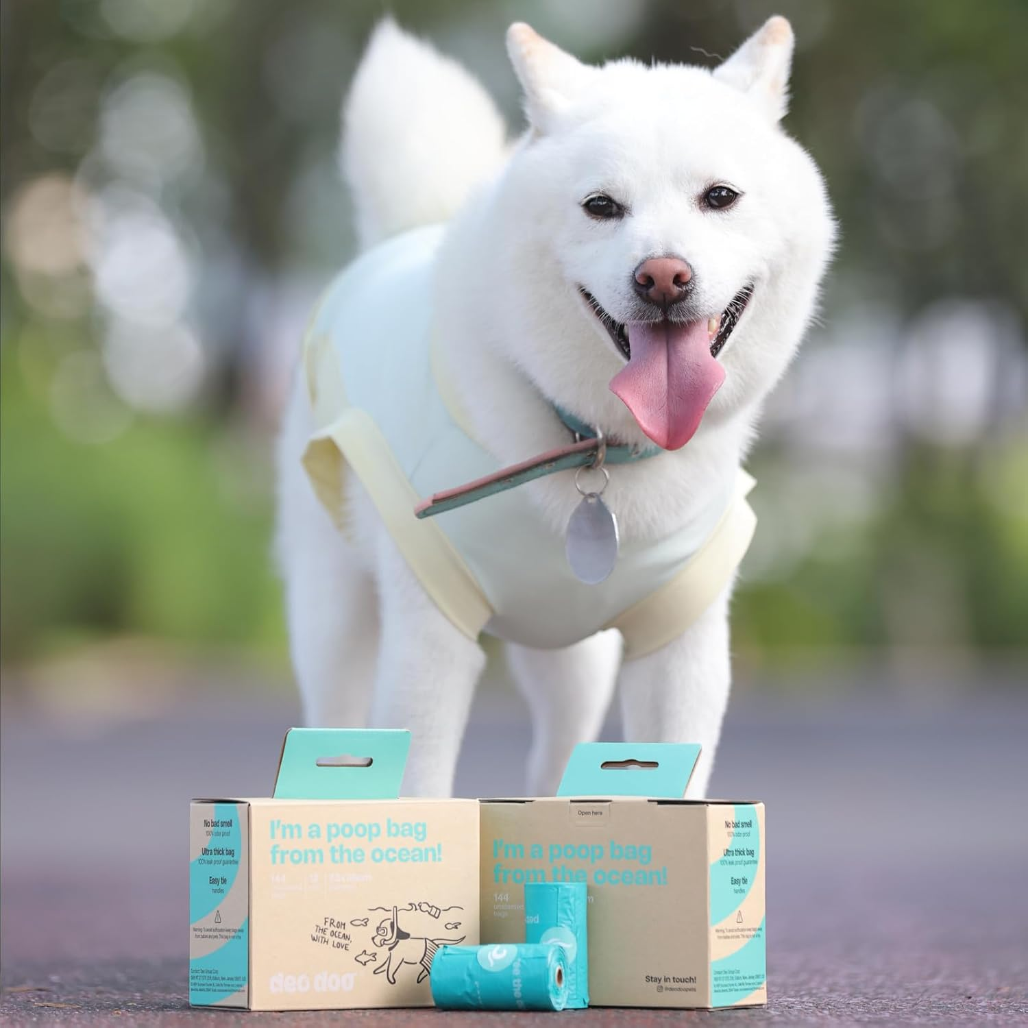 Deo Doo Dog Poop Bags with Handles 100% PCR from Ocean 12 Rolls 144 Counts Big Sizes Leak Proof and Extra Thick Waste Bags Refill Rolls for Walking Small Medium Large Dogs Cats Litter Unscented