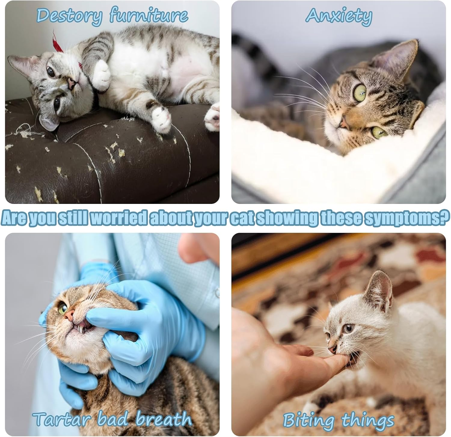 8 Pieces Cat Toy Self-Employment Hanging Door Frame Elastic Feathers Bells for Kittens, Interactive Dancer Cat Toy for Indoor Kittens Cat Run, No Batteries Required image number 5