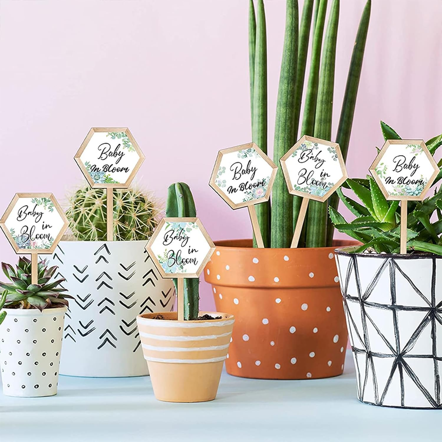 Baby in Bloom Succulent Tags, Wooden Plant Stakes Label Hexagon Plant Markers Plant Signs Succulents Labels for Baby Shower Succulents Potted Plants(48 Pcs) image number 4
