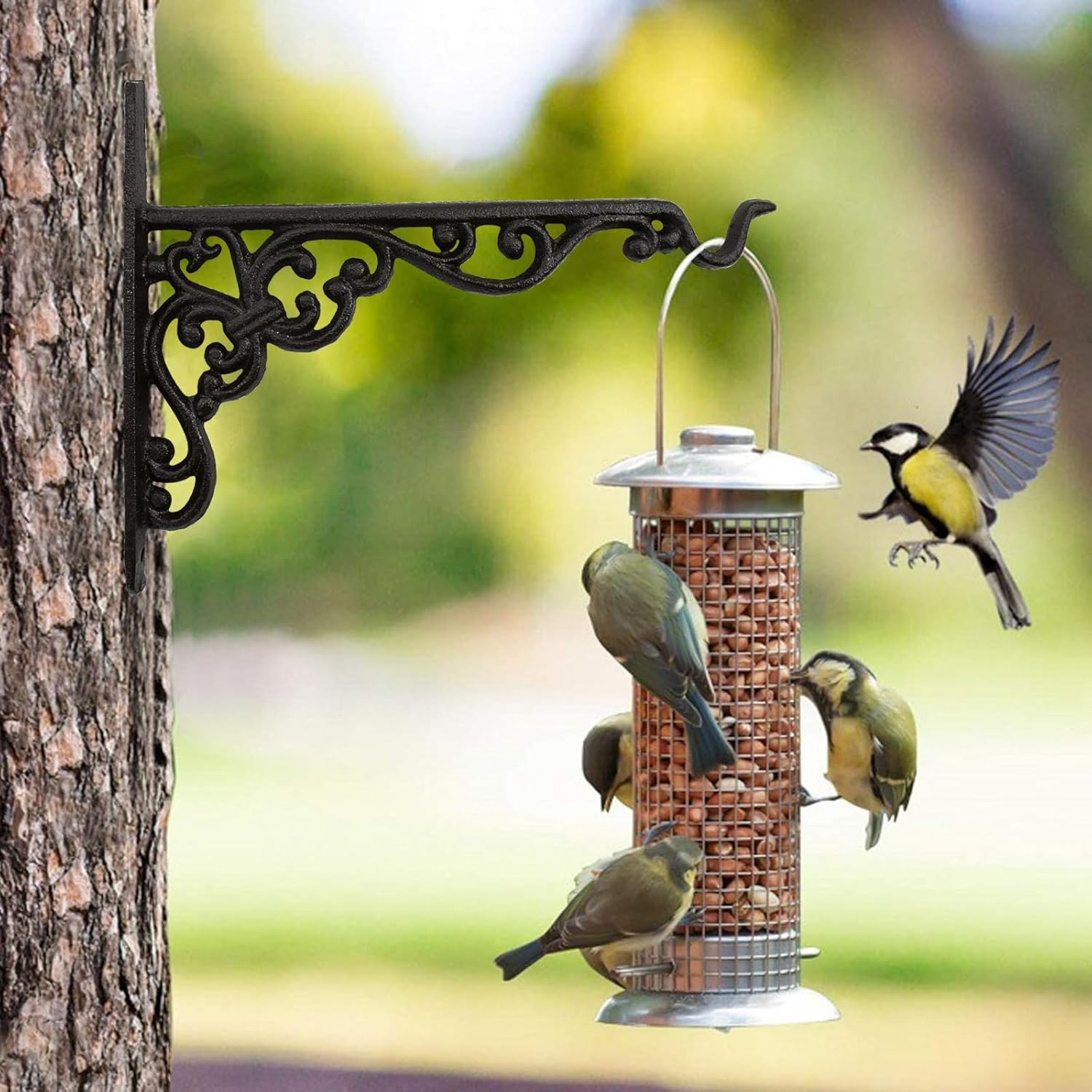 Mrmrkura 2 Pack 10 Inch Hanging Plant Bracket, Wrought Iron Plant Hangers Outdoor Indoor, Wall Hooks for Bird Feeder Hanger/Lantern Wind Chimes (2 Pcs) image number 1