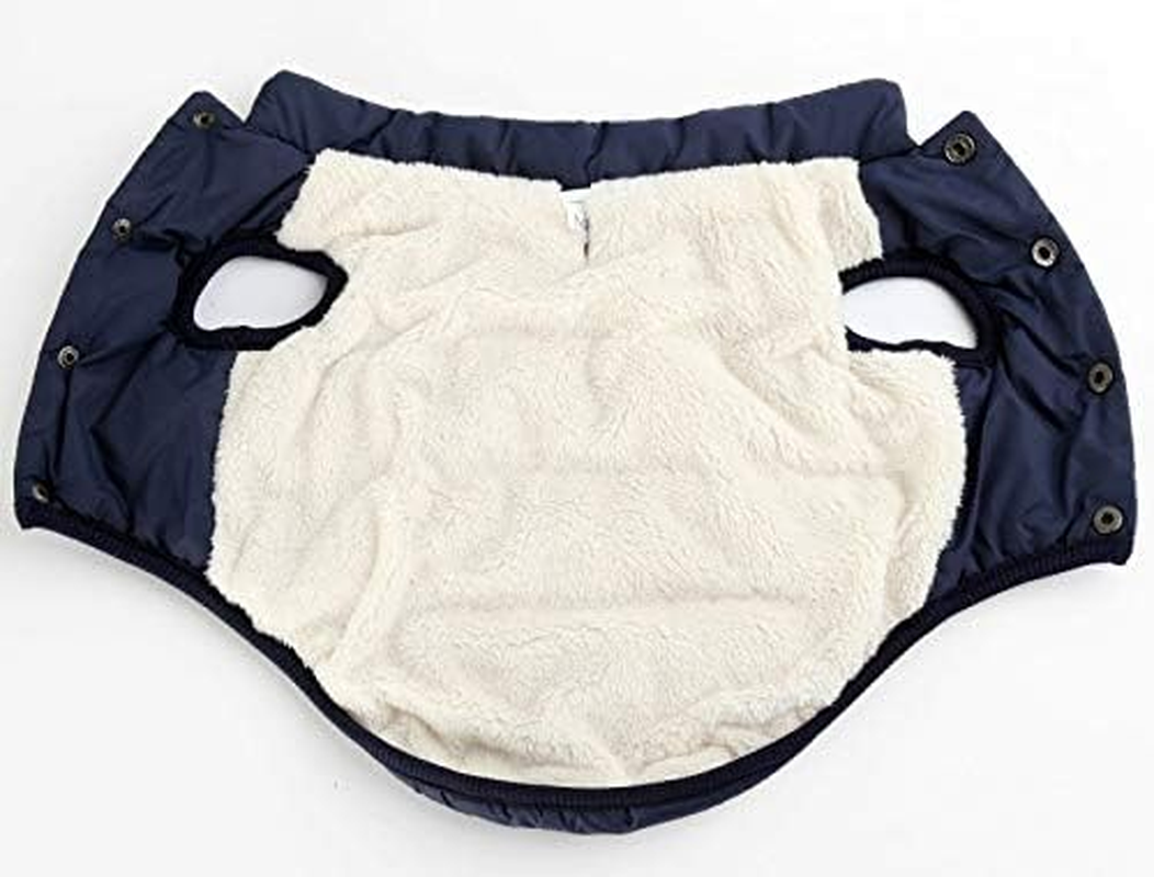 Double Layer Fleece Warm Dog Jacket Coat Vest for Puppy Winter Cold Weather Soft Windproof Apparel for Small Medium Large Dogs (L) image number 4