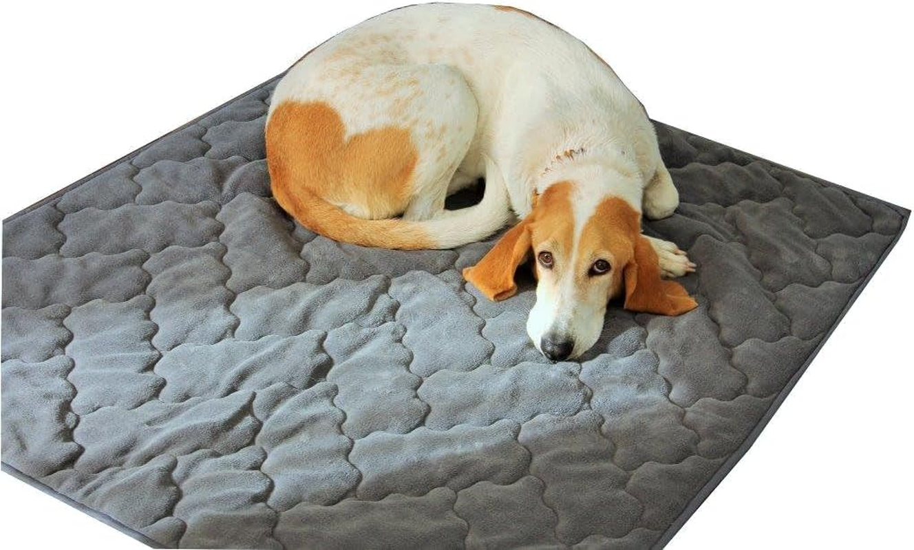 Ggm Dog Blanket 100 X 120 Cm Anthracite for Allergy Sufferers Dogs Cuddly Soft image number 1