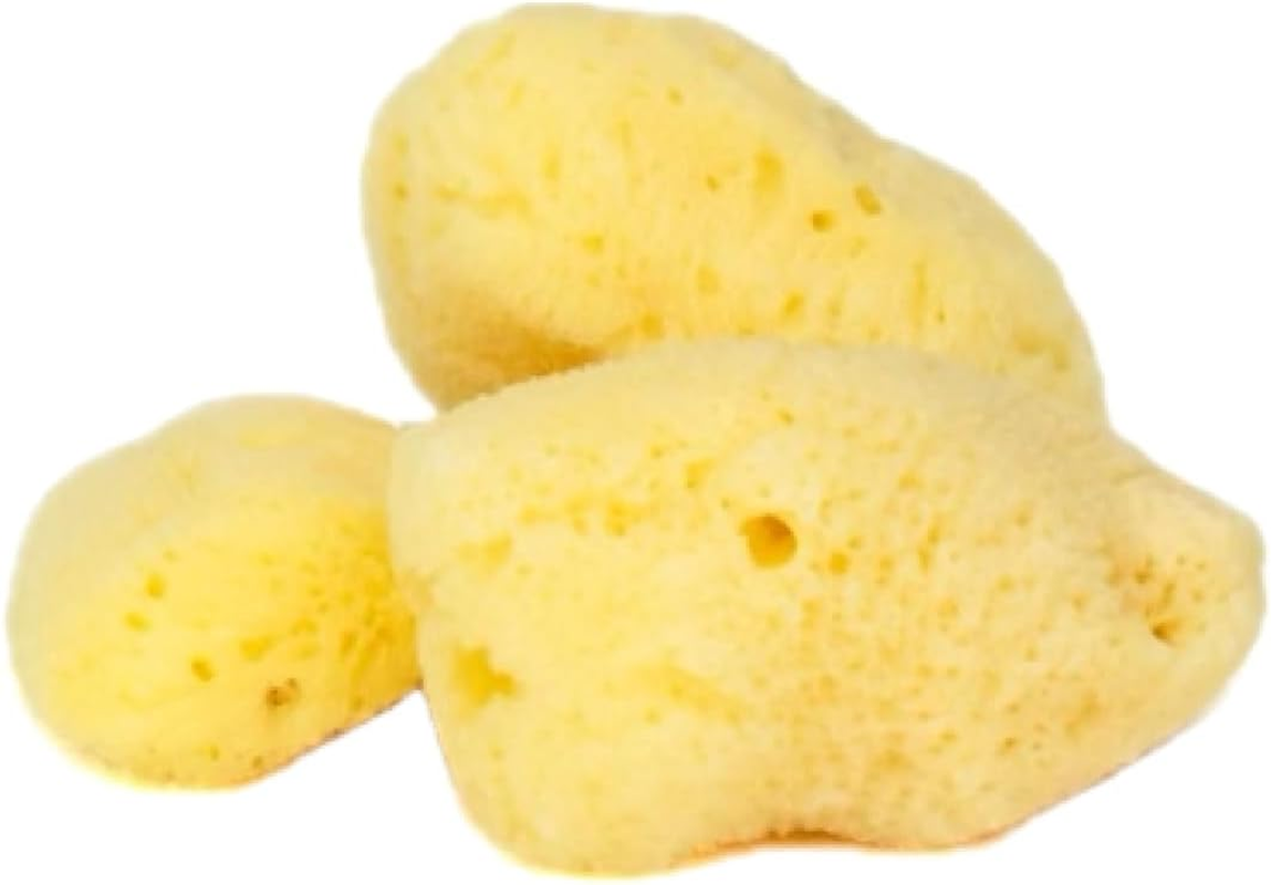 Intimatecare Sea Sponges. Mediterranean Sea Sponges in Plastic Free Packaging. Absolute Quality (Natural Brown, 3X 5.5-6.5Cm / 2-2.5In")
