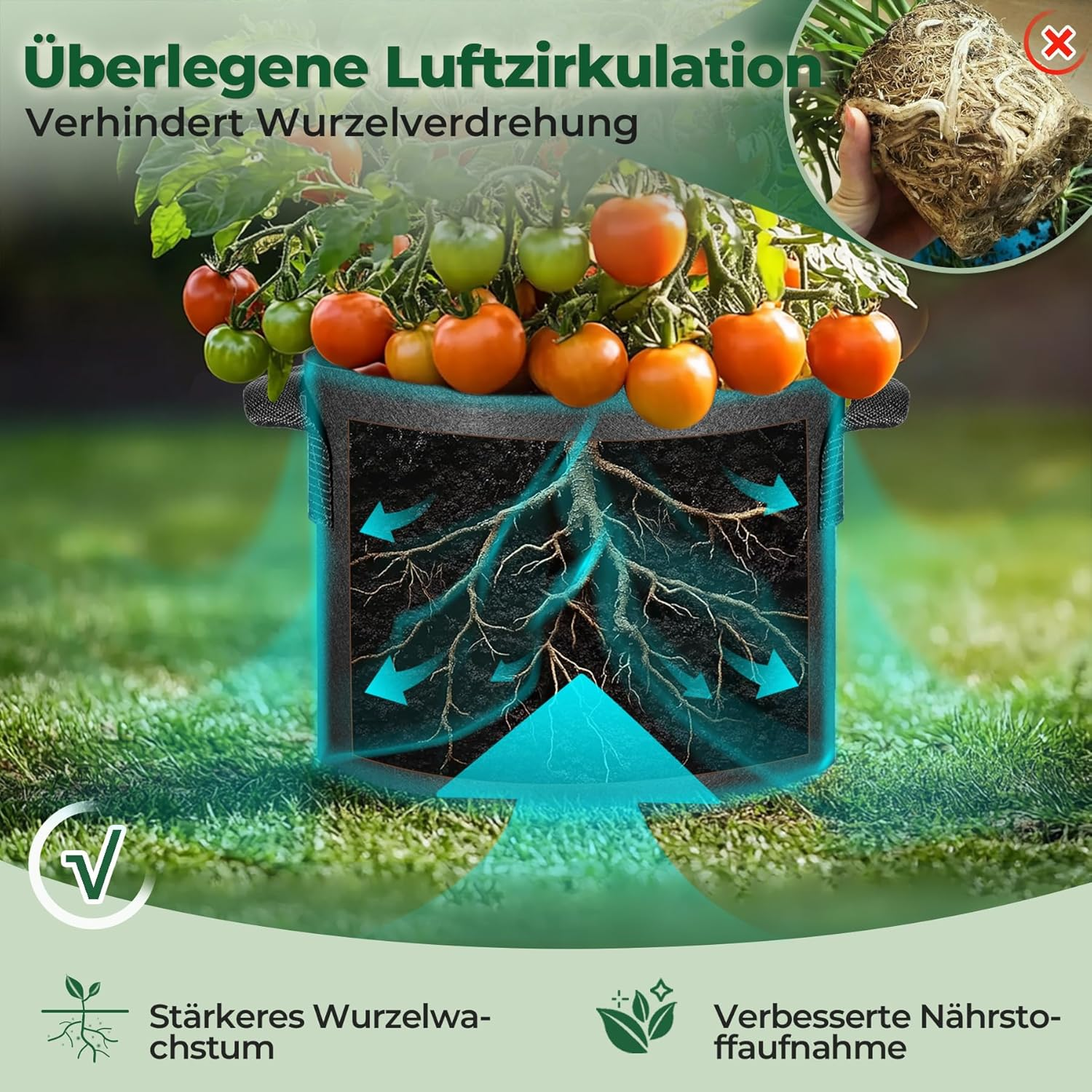 T4U Fabric Plant Grow Bags with Handle 10 Gallon Pack of 5, Heavy Duty Nonwoven Smart Garden Pot Thickened Aeration Nursery Container Black for Outdoor Potato, Tomato, Chili, Carrot and Vegetables