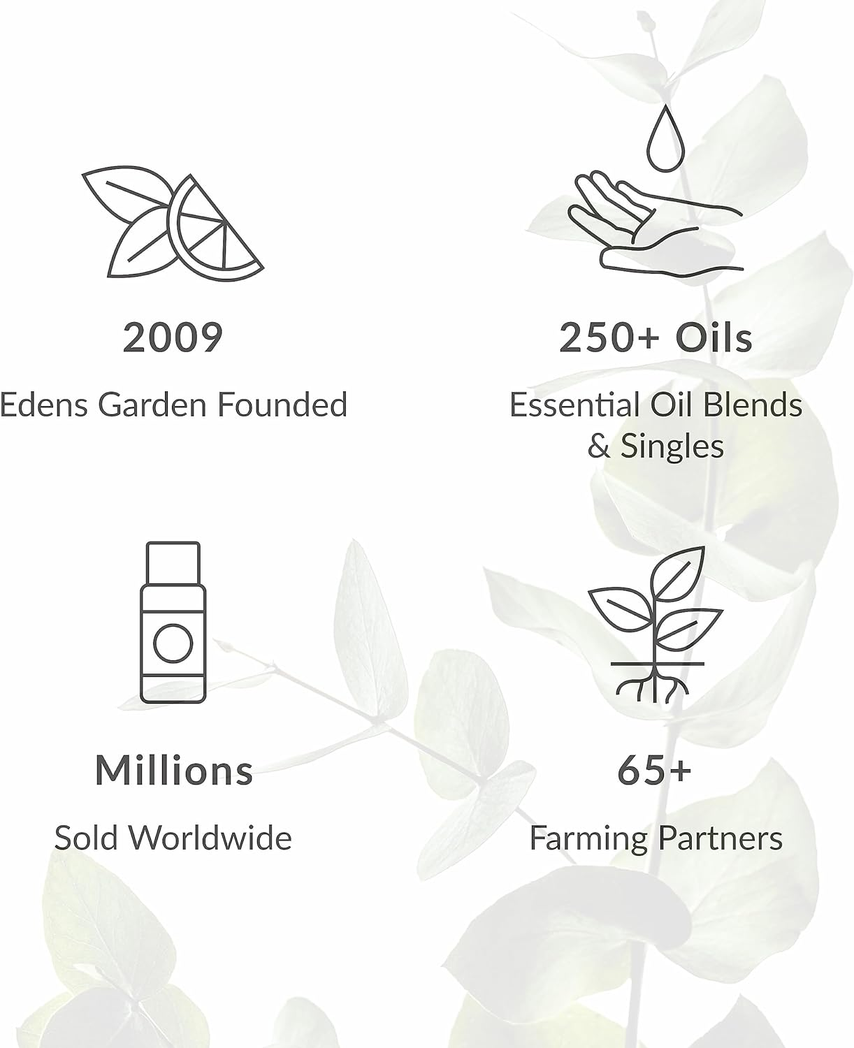 Edens Garden Pure Essential Oil, Eucalyptus, 10Ml image number 4