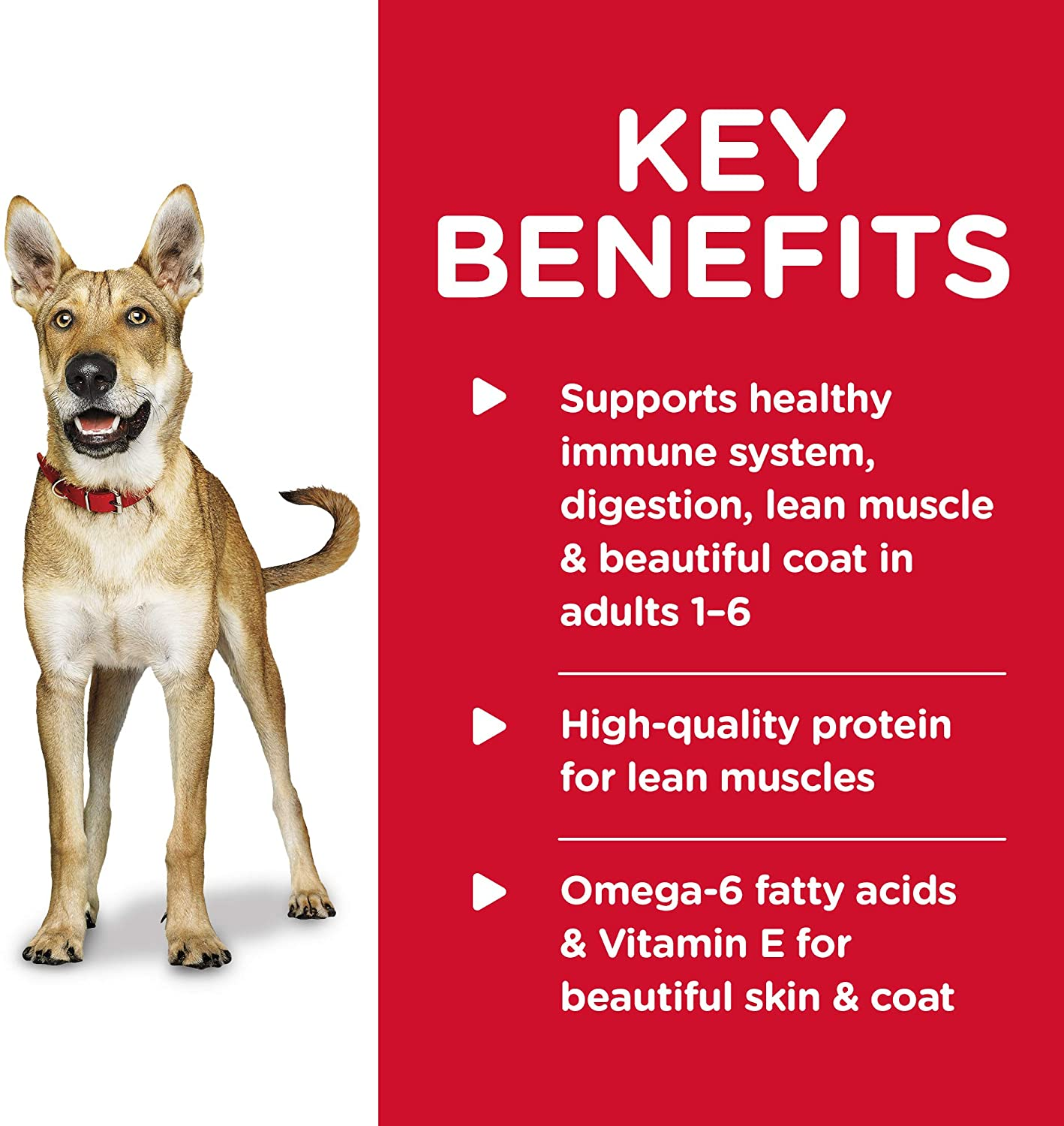 Hill'S Science Diet Adult Wet Dog Food, Beef and Barley Entr&eacute;e, 370G, 12 Pack, Canned Dog Food image number 4