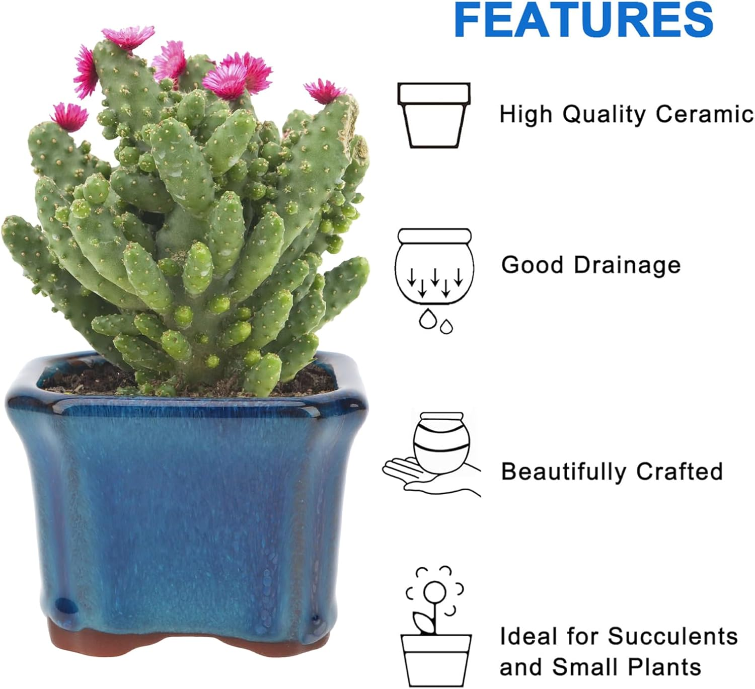 Happy Bonsai 6 Pc Mini Glazed Pots Value Set + 6 Soft Mesh Drainage Screens image number 2