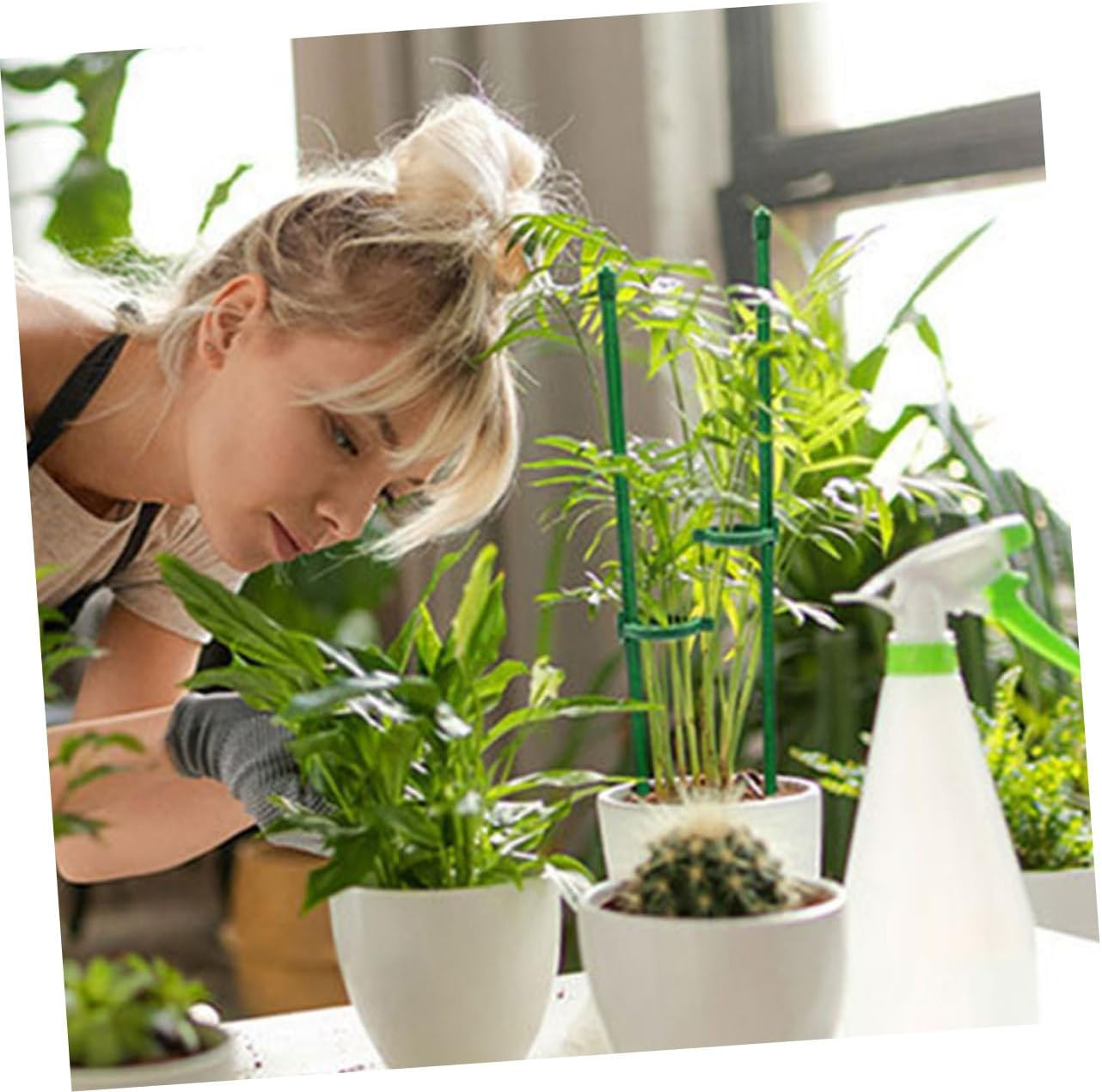 12Sets Plant Support Stakes Garden Floral Flower Support Stake Plant Stem for Healthy Growth for Gardening image number 5