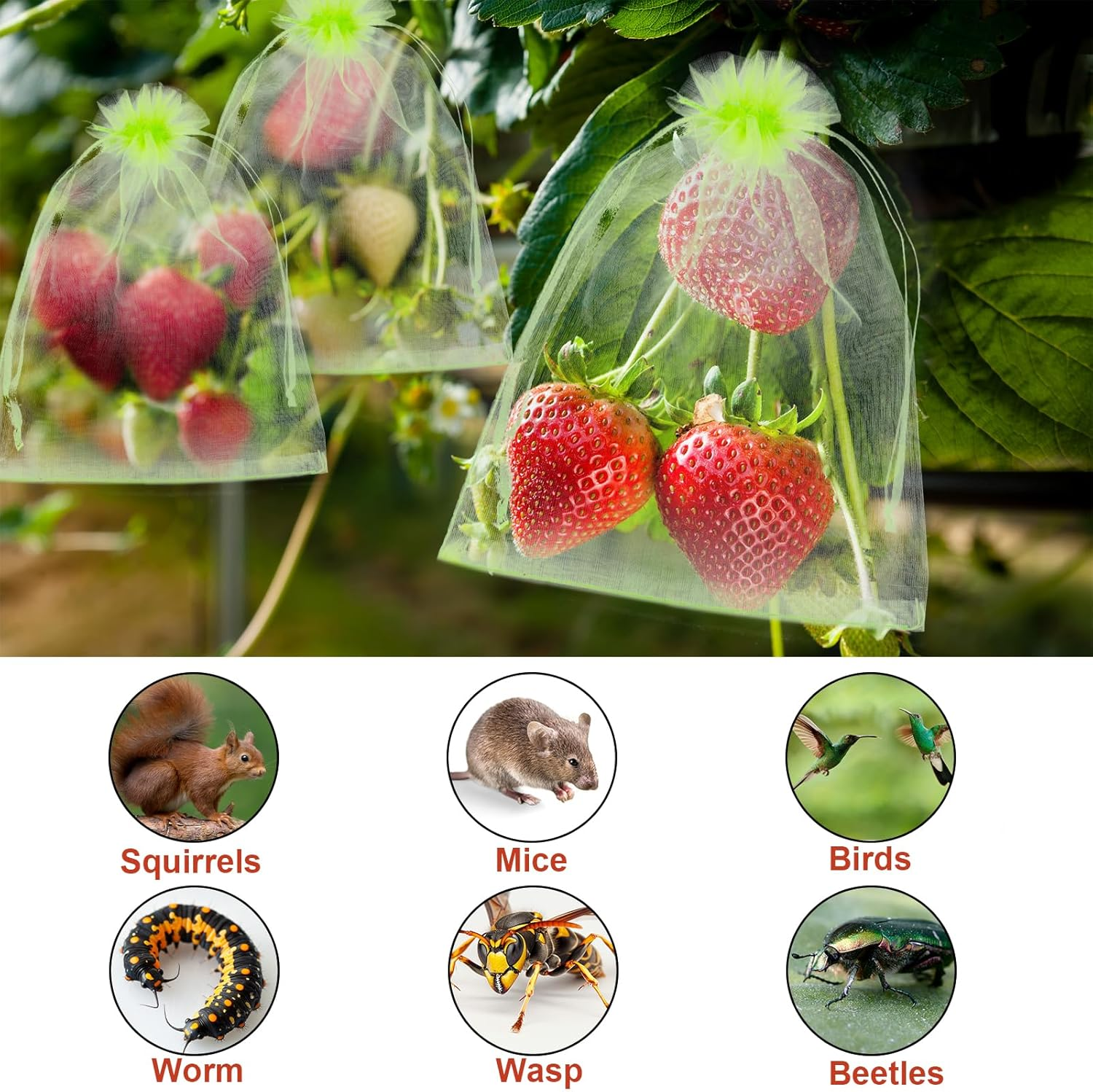 100Pcs Fruit Protection Bags, 6X4In Mesh Fruit Nets with Drawstring Reusable Netting Cover Bags Barrier for Protecting Trees Strawberries Vegetables Blueberries (Green)