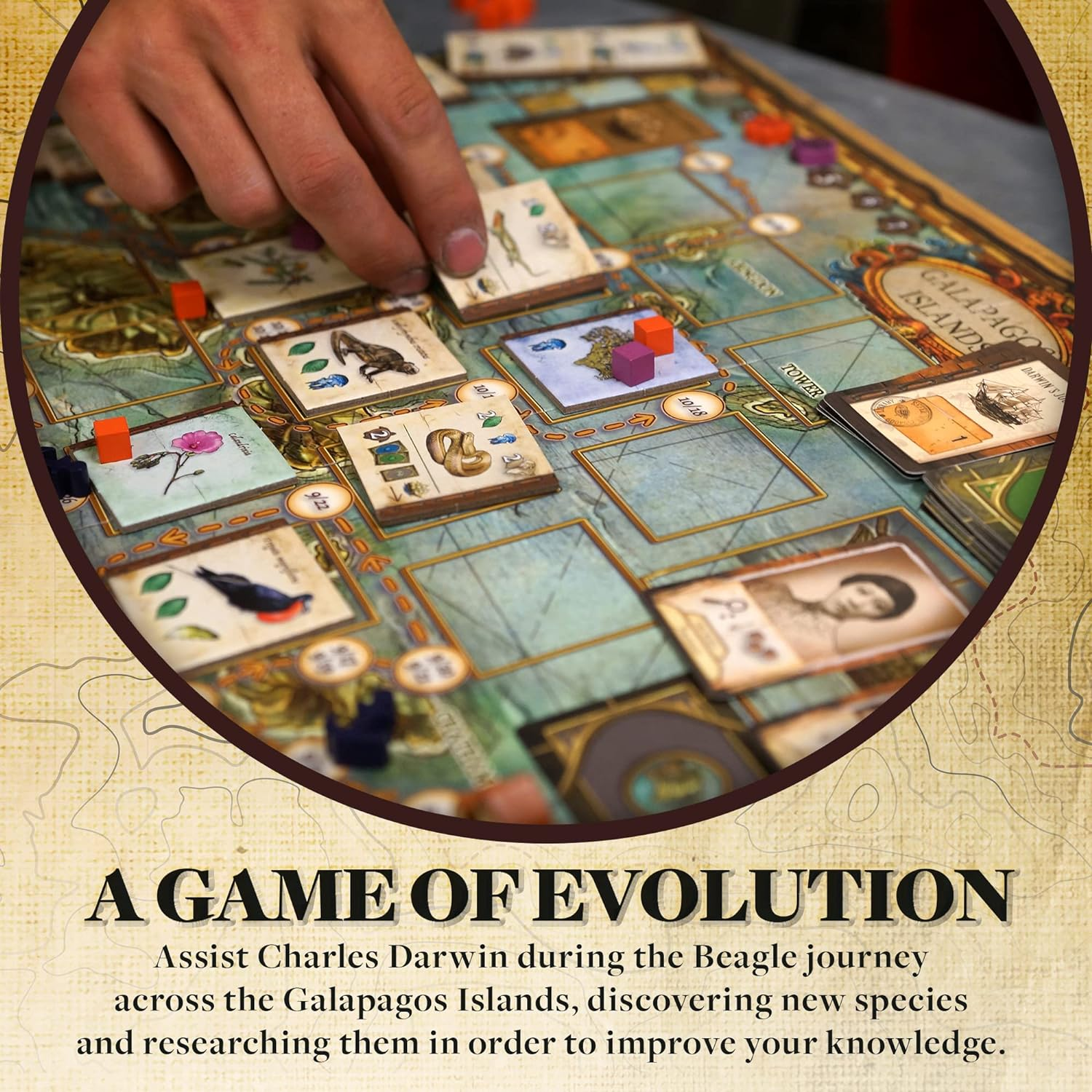 Artana on the Origin of Species Board Game