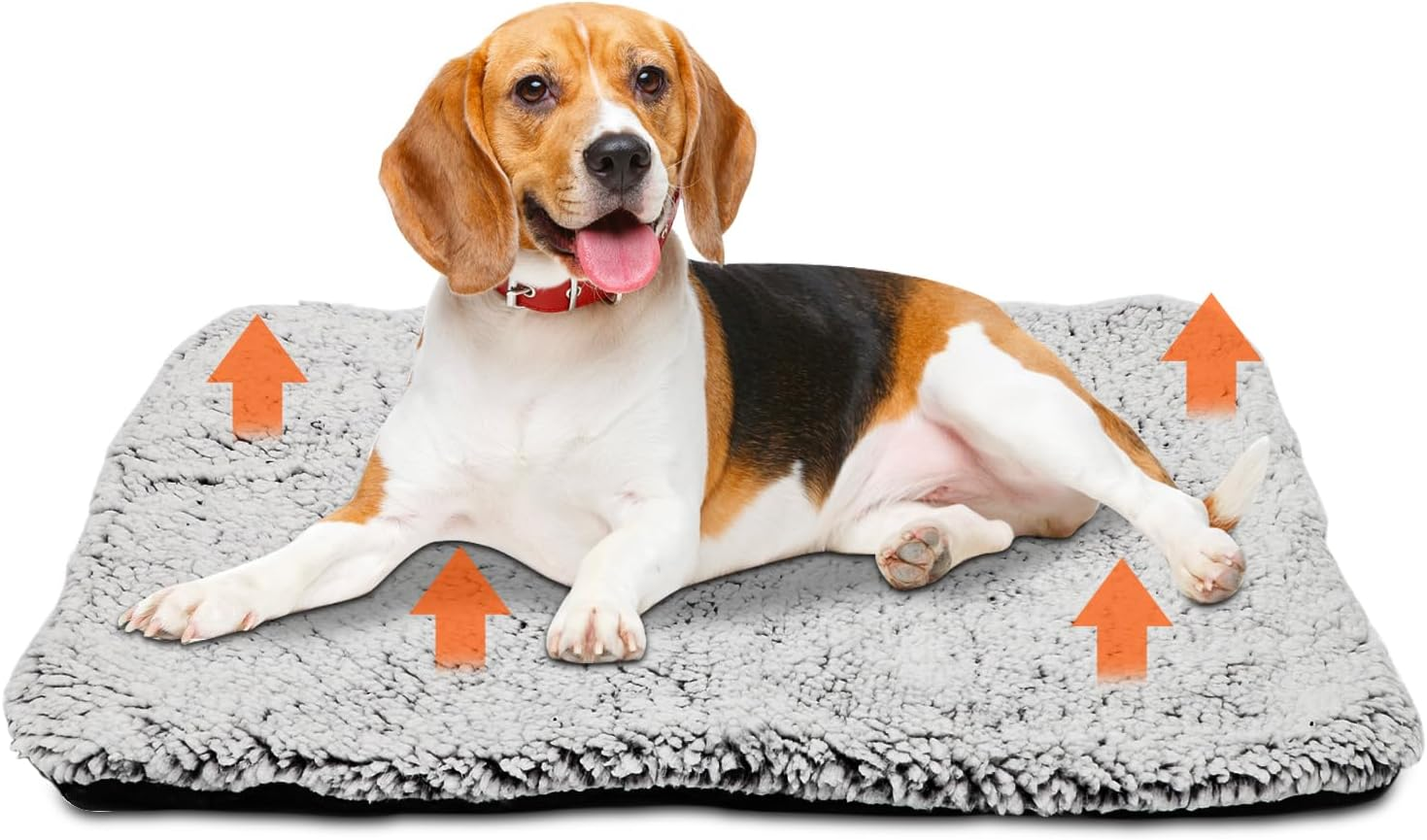 RANJIMA Electric Blanket for Dogs and Cats, 50 X 40 Cm Pets Heat Blanket Soft Cuddly Cat Blanket Washable Cover Cat Cushion Cat Bed Fluffy and Soft Fluffy Dog Blanket Cat Bed image number 2