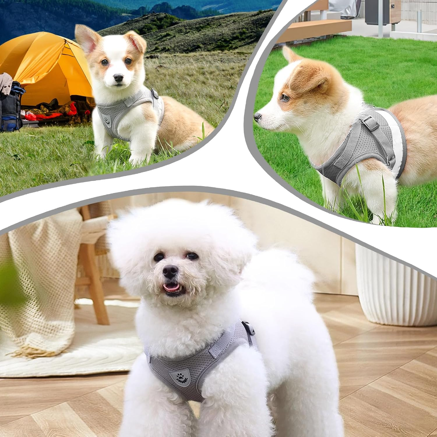 Adjustable Cat Harness, Escape Proof, Adjustable Cat Harness with Lead, Soft Inner Lining and Breathable Mesh, Reflective Harness Set for Outdoor Training, Walking, XS (Grey) image number 3